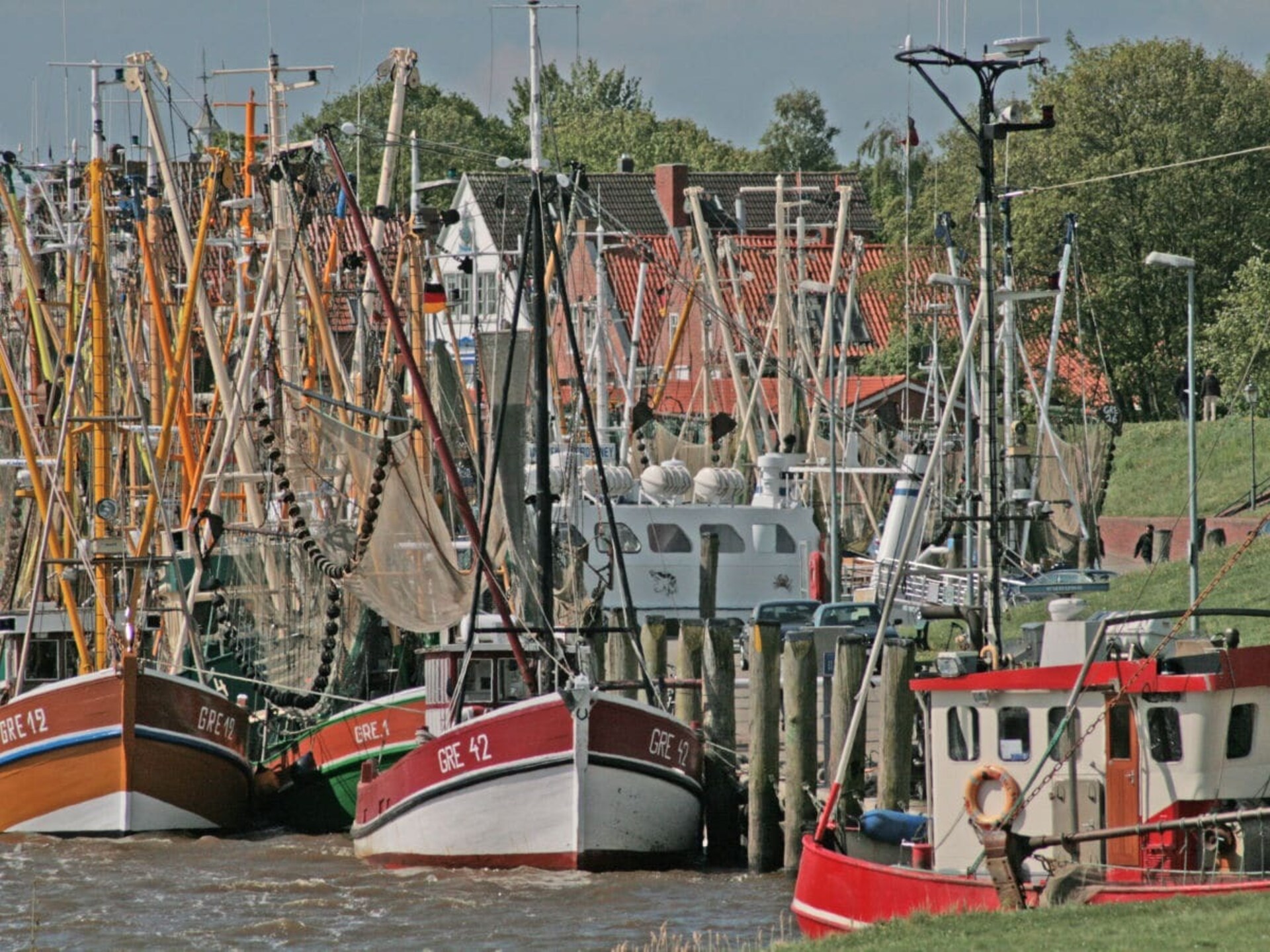 62179 - foto 15