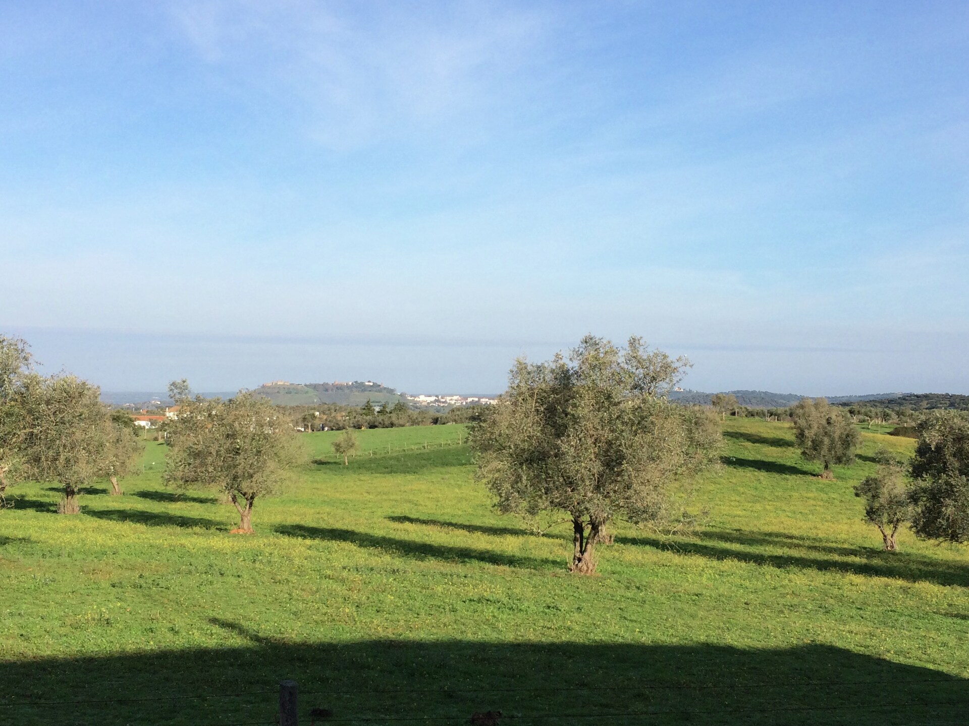 Rolstoelvriendelijk vakantiehuis op het Portugese platteland bij Montemor-o-Novo - foto 20