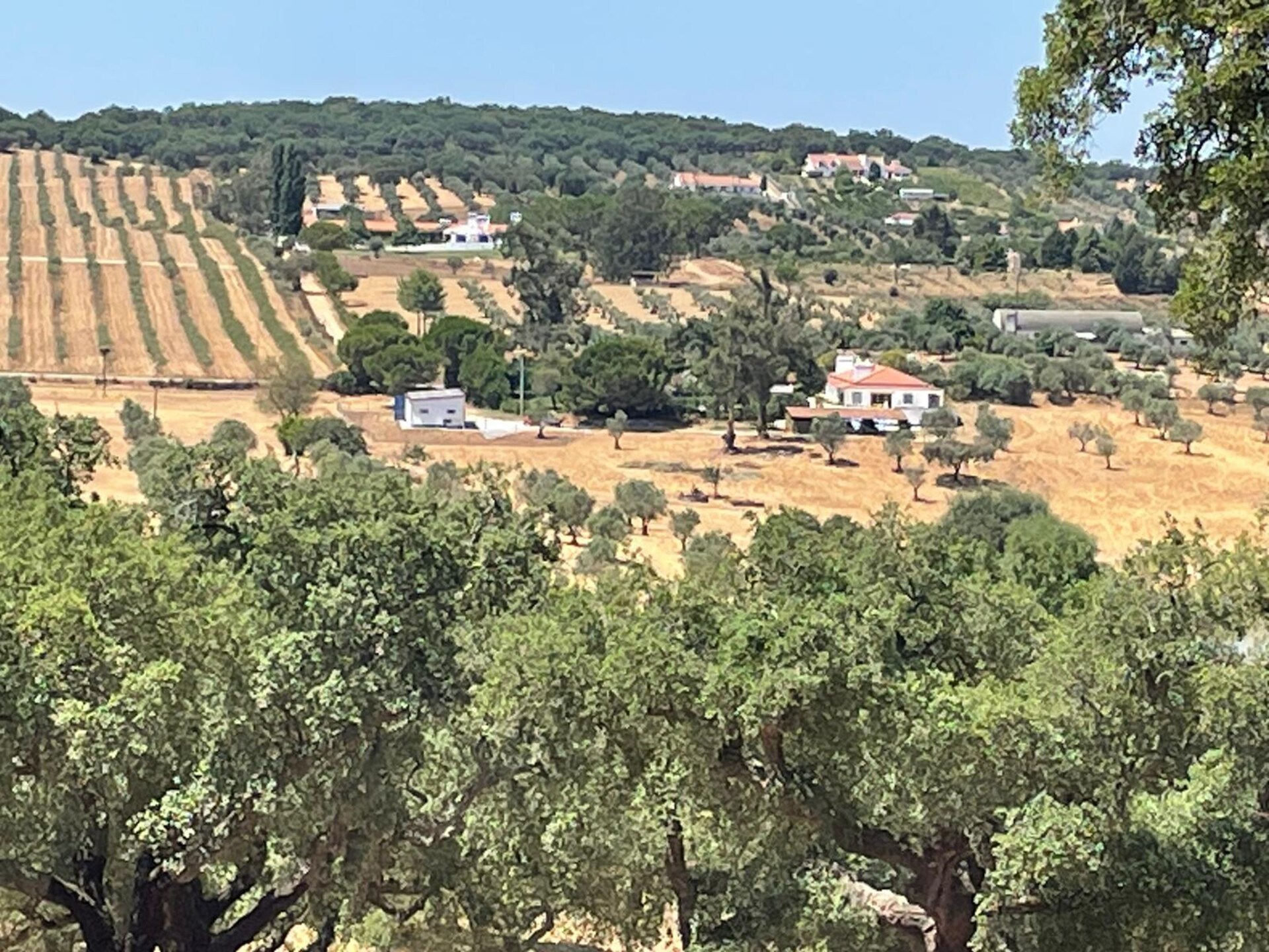 Rolstoelvriendelijk vakantiehuis op het Portugese platteland bij Montemor-o-Novo - foto 23