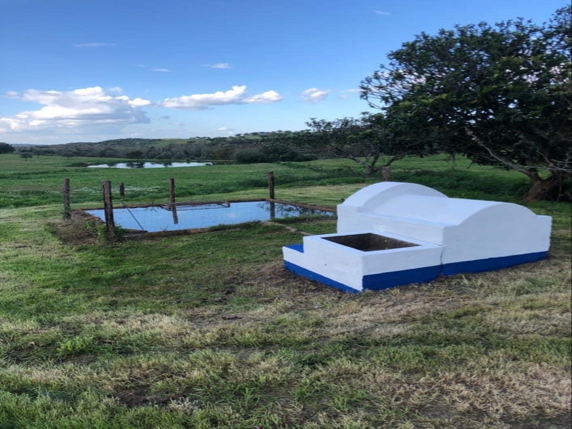 Rolstoelvriendelijk vakantiehuis op het Portugese platteland bij Montemor-o-Novo - foto 25