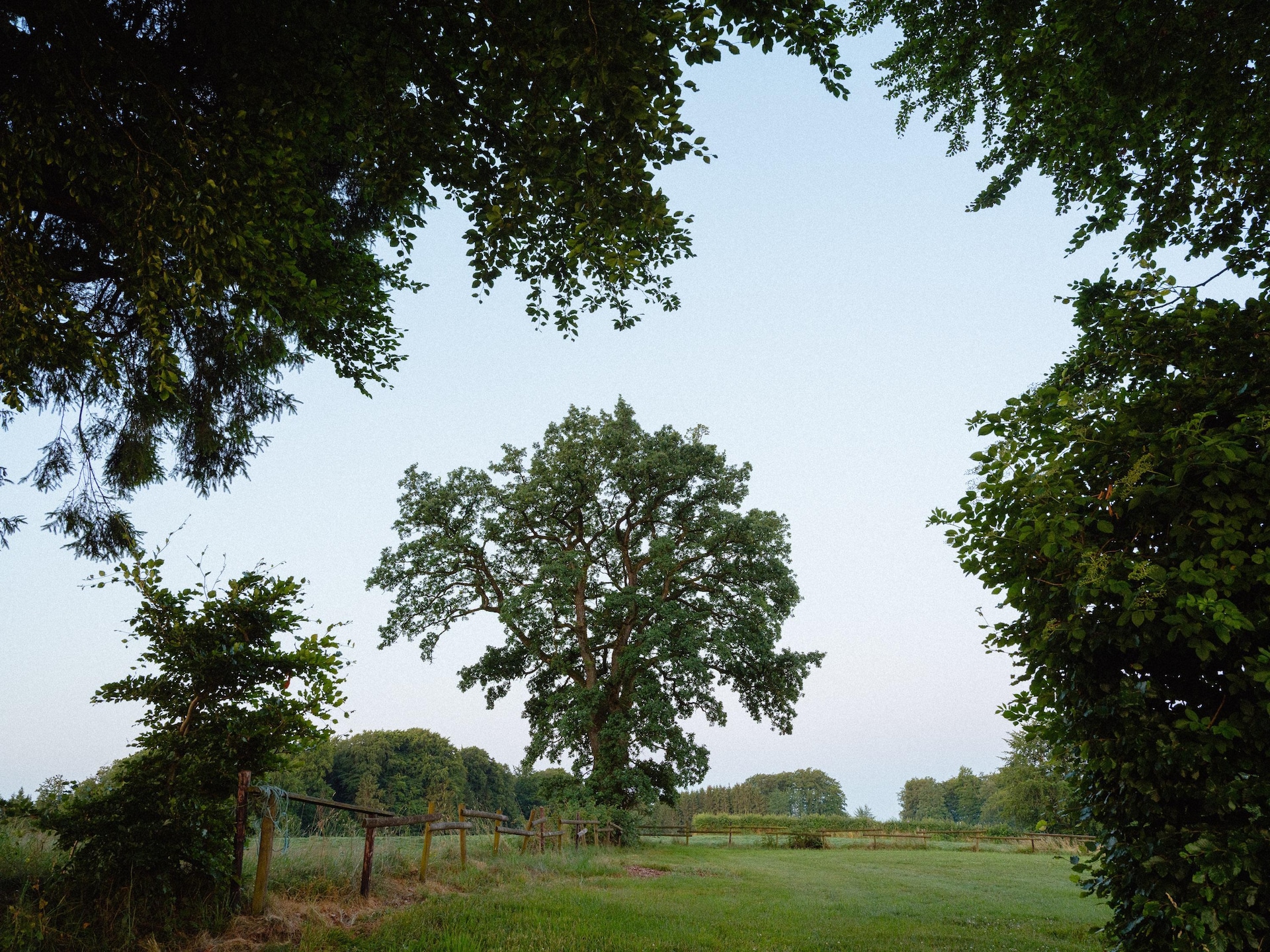 La Ferme d'Amel - foto 22