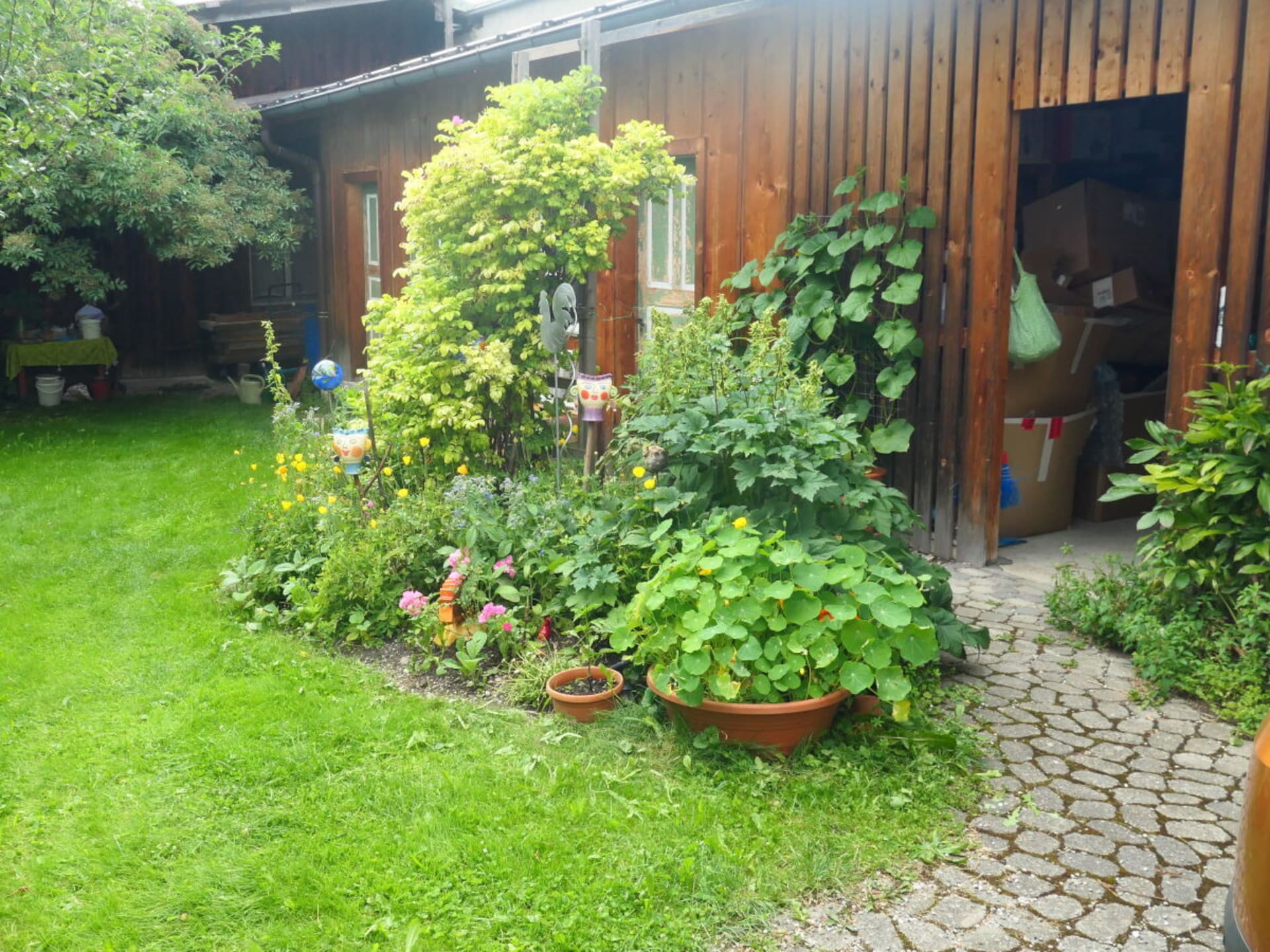 426954 - foto 5