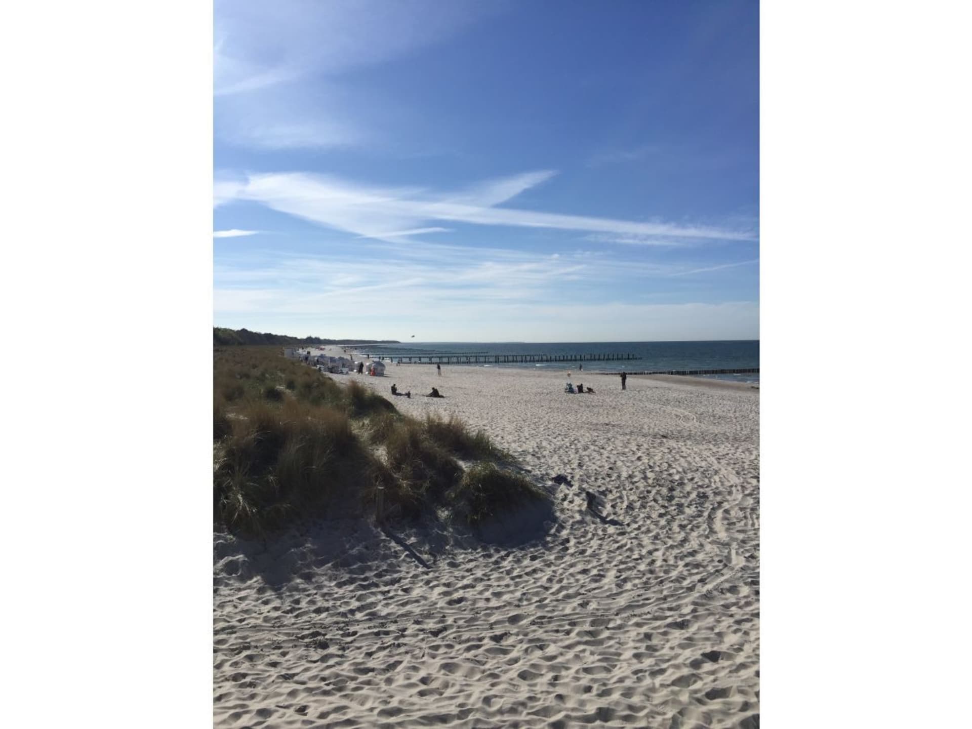 246170 - foto 21