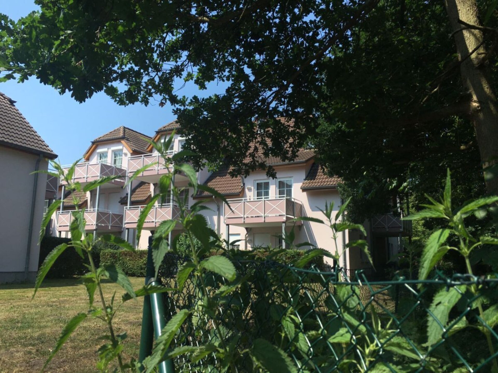 164304 - foto 2