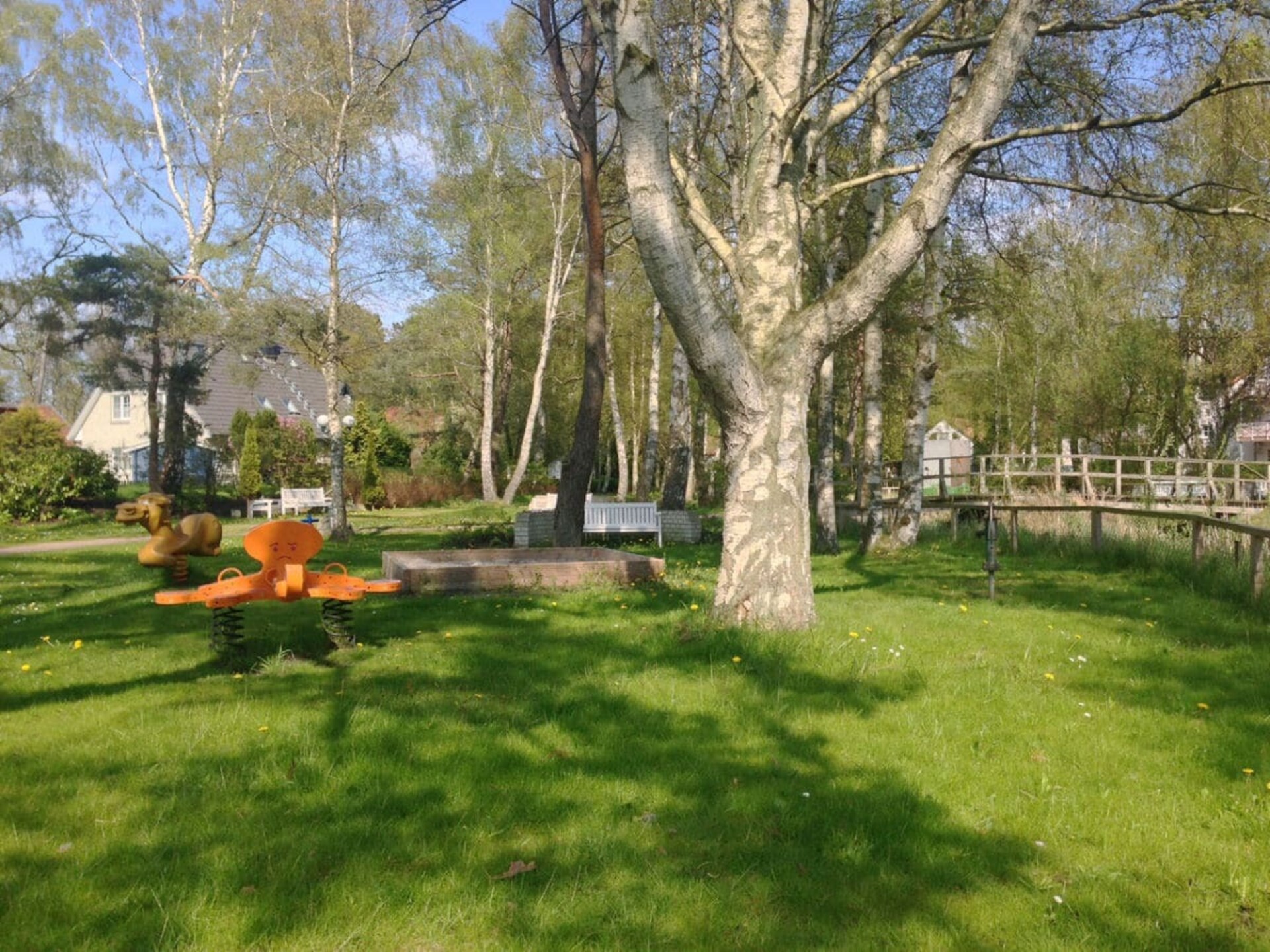 164304 - foto 16