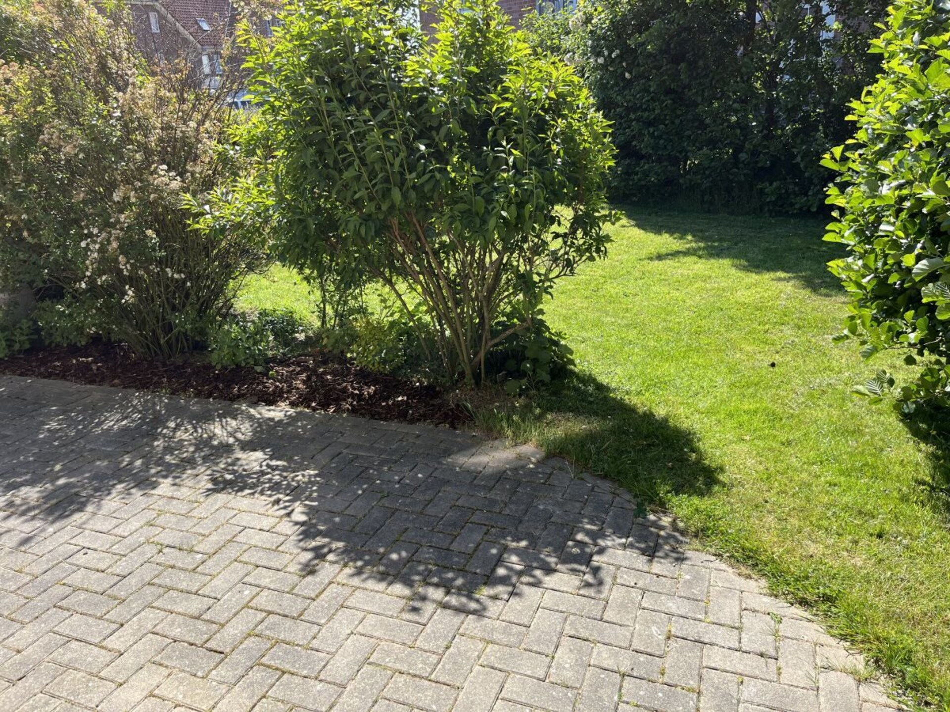 126278 - foto 4