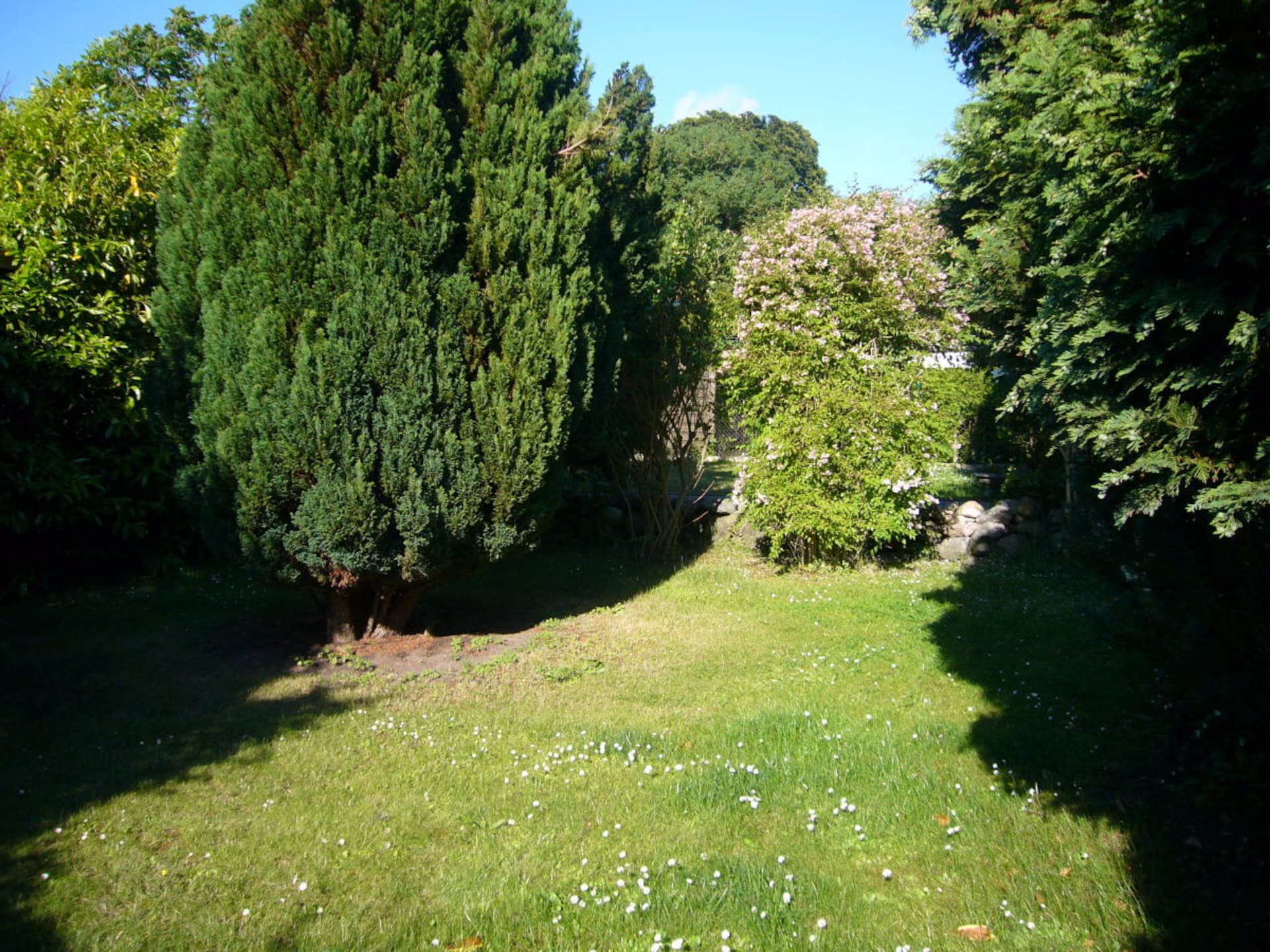 87608 - foto 5