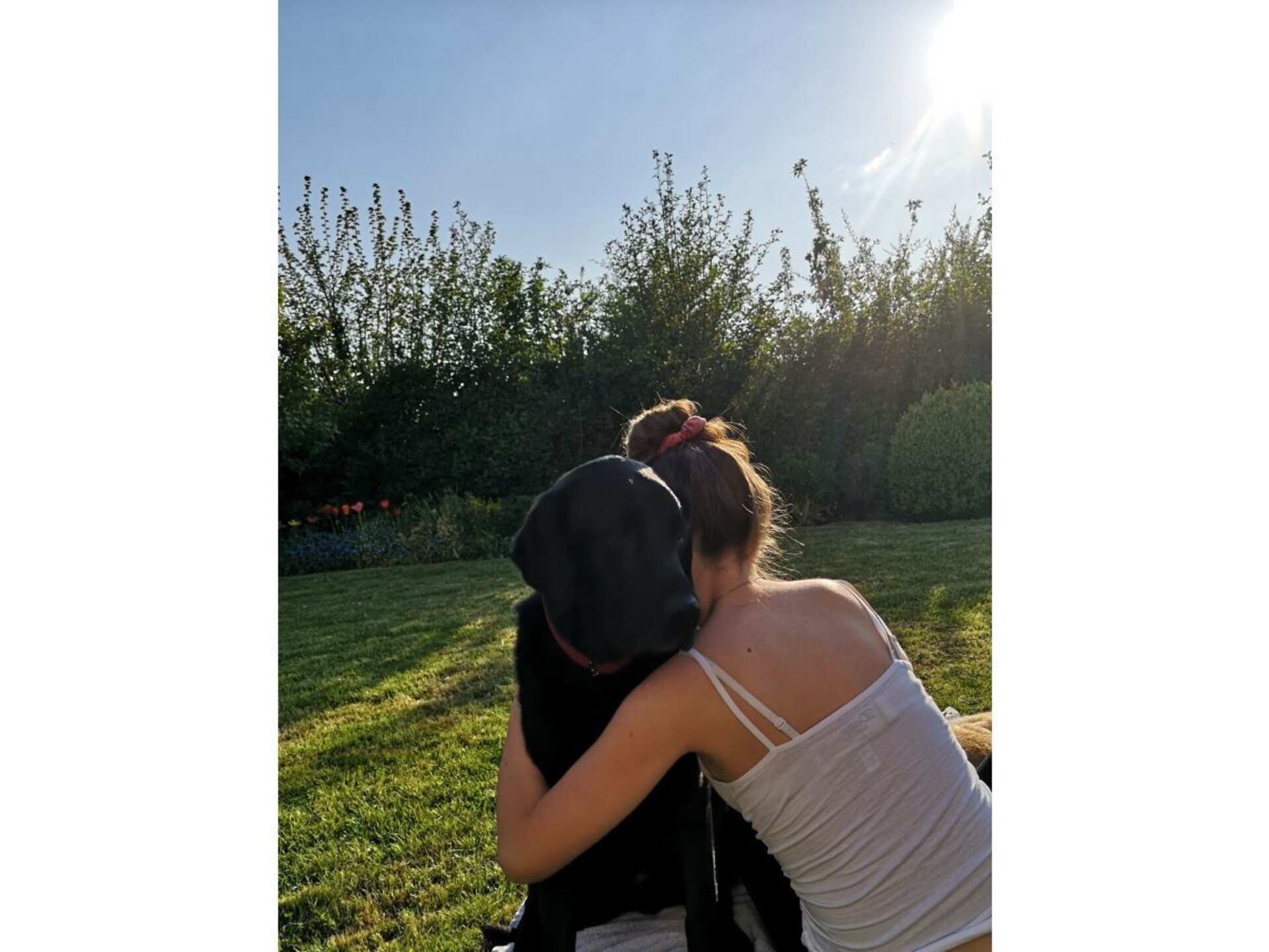 99664 - foto 4