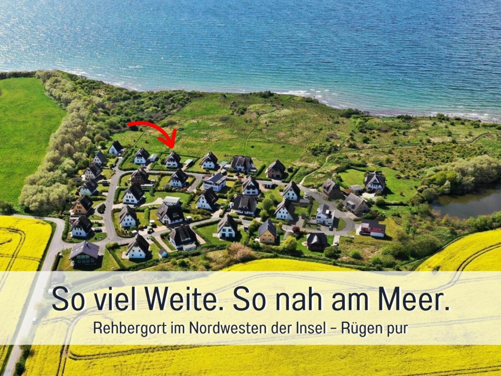 318638 - foto 2