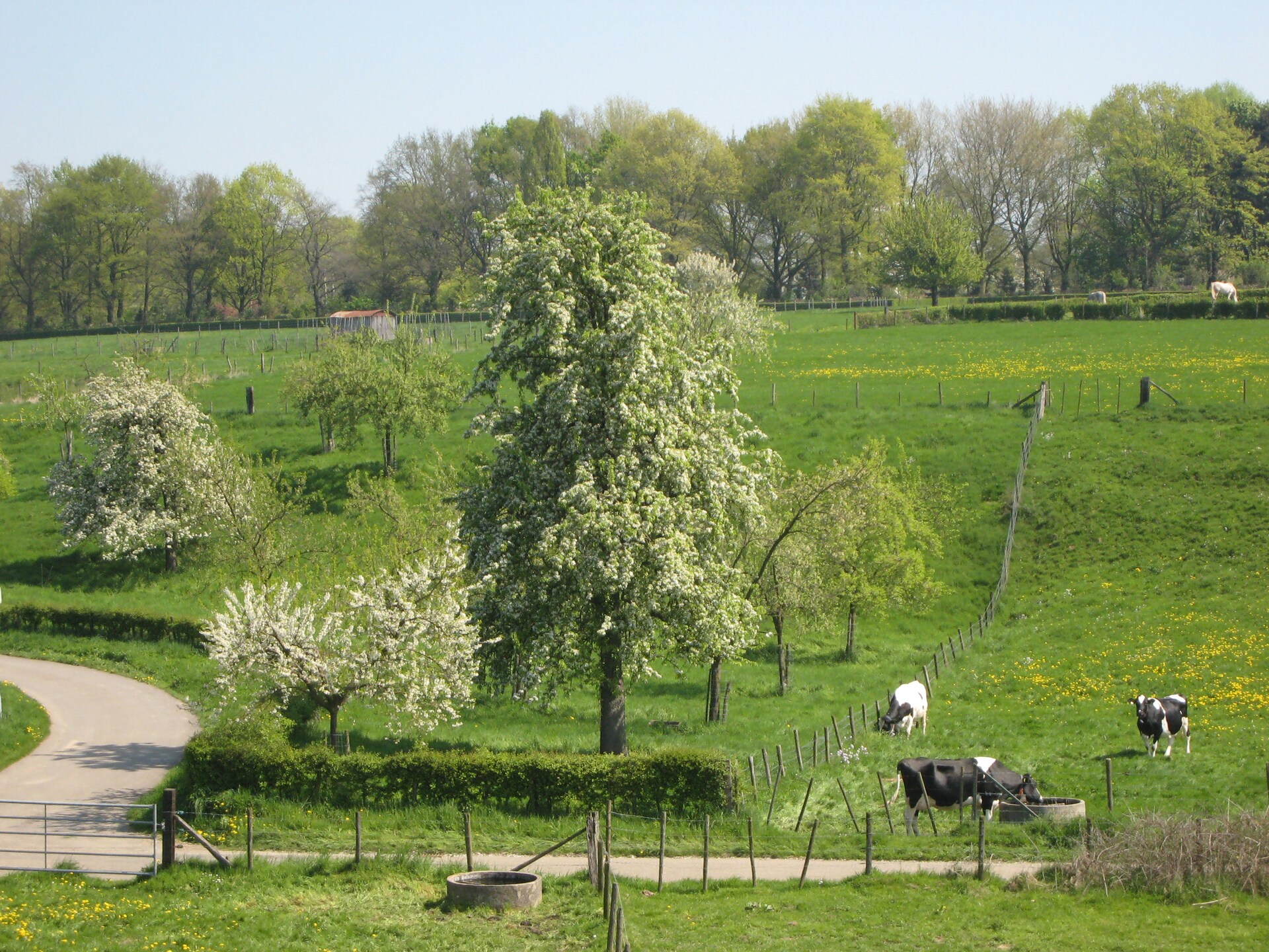 Vrijstaand vakantiehuis met tuin in het Limburgse heuvelland bij Margraten - foto 25
