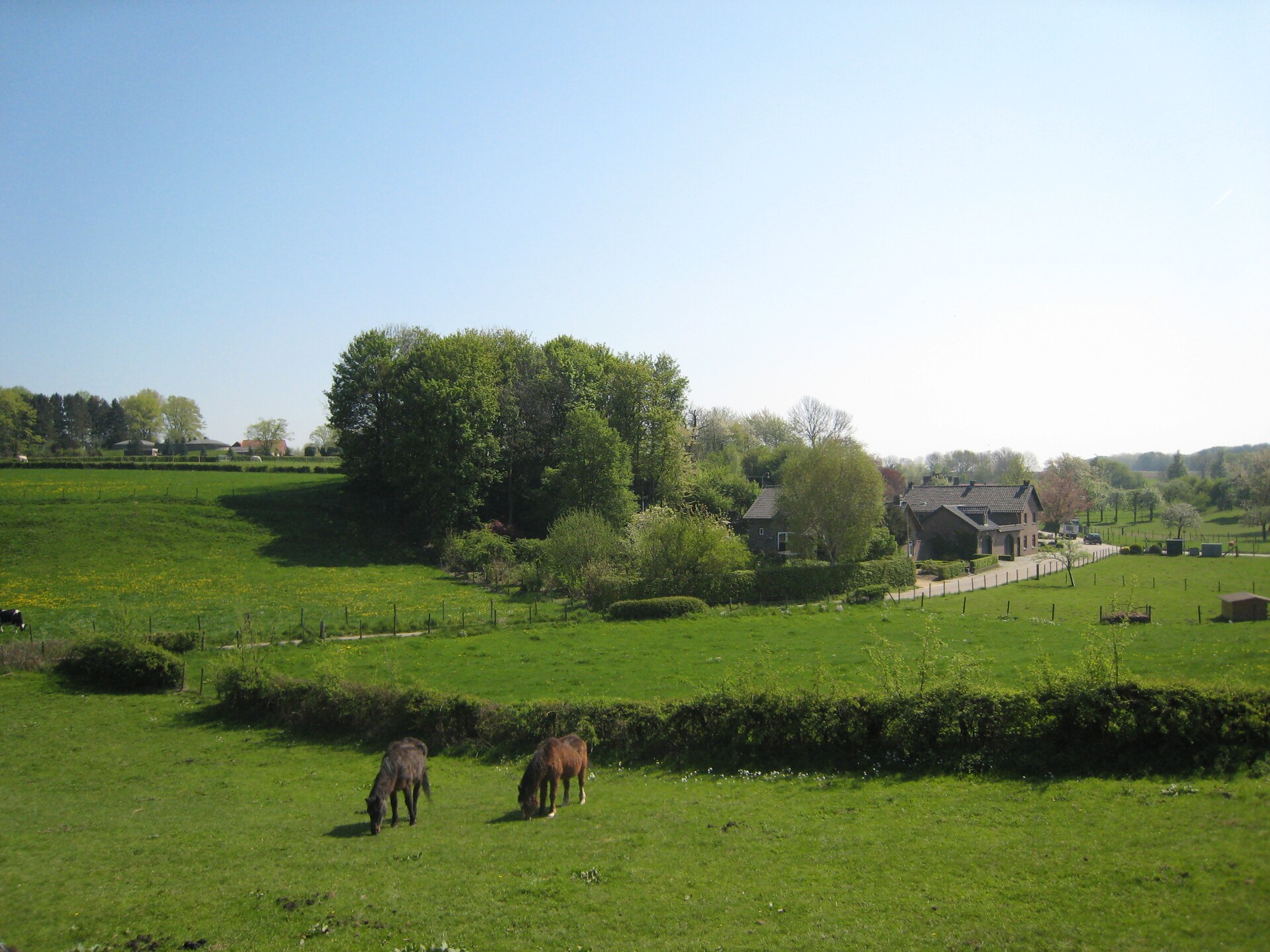 Vrijstaand vakantiehuis met tuin in het Limburgse heuvelland bij Margraten - foto 23