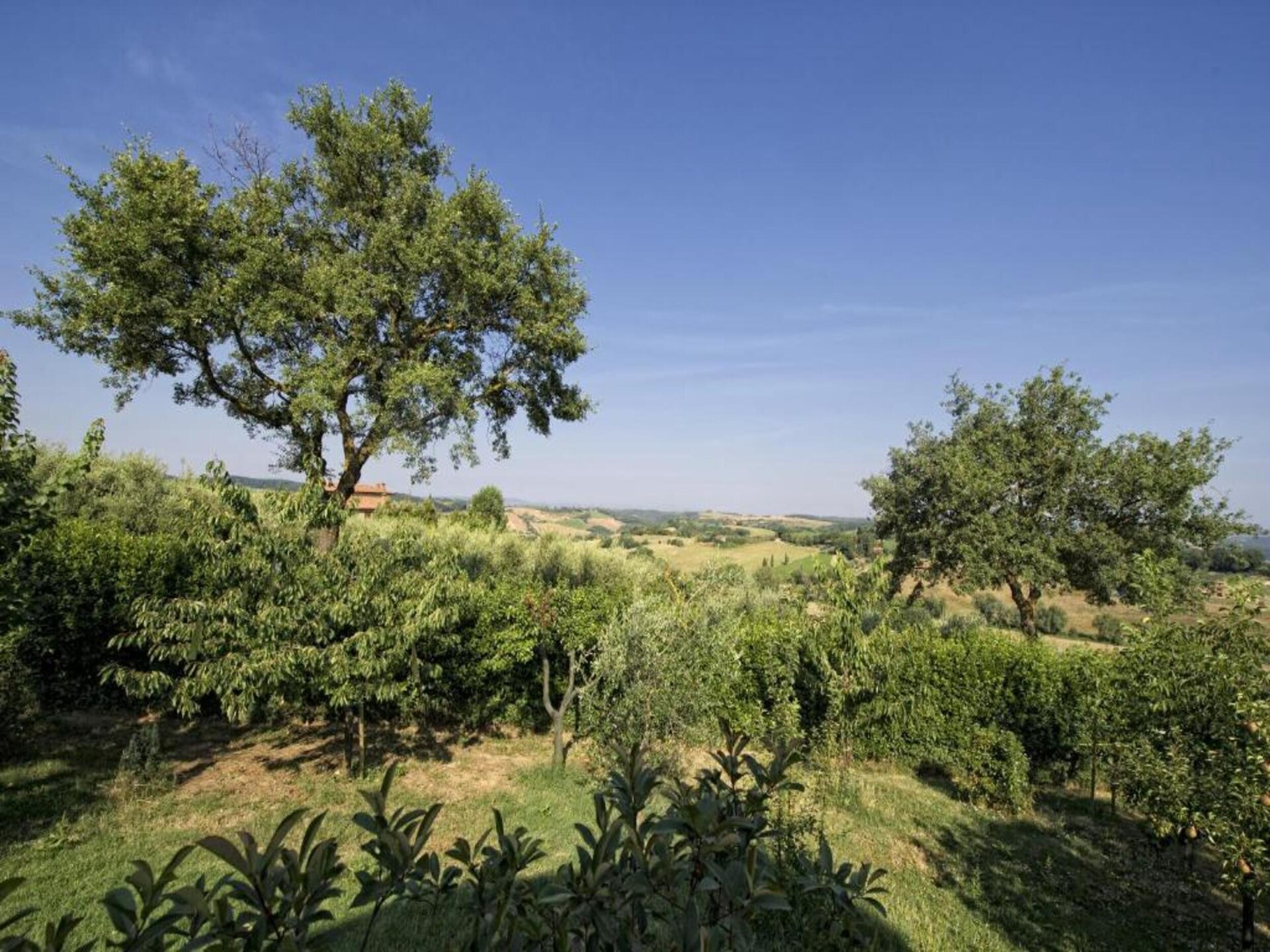 Authentieke Toscaanse boerderij met zwembad en uitzicht bij Montepulciano - foto 36