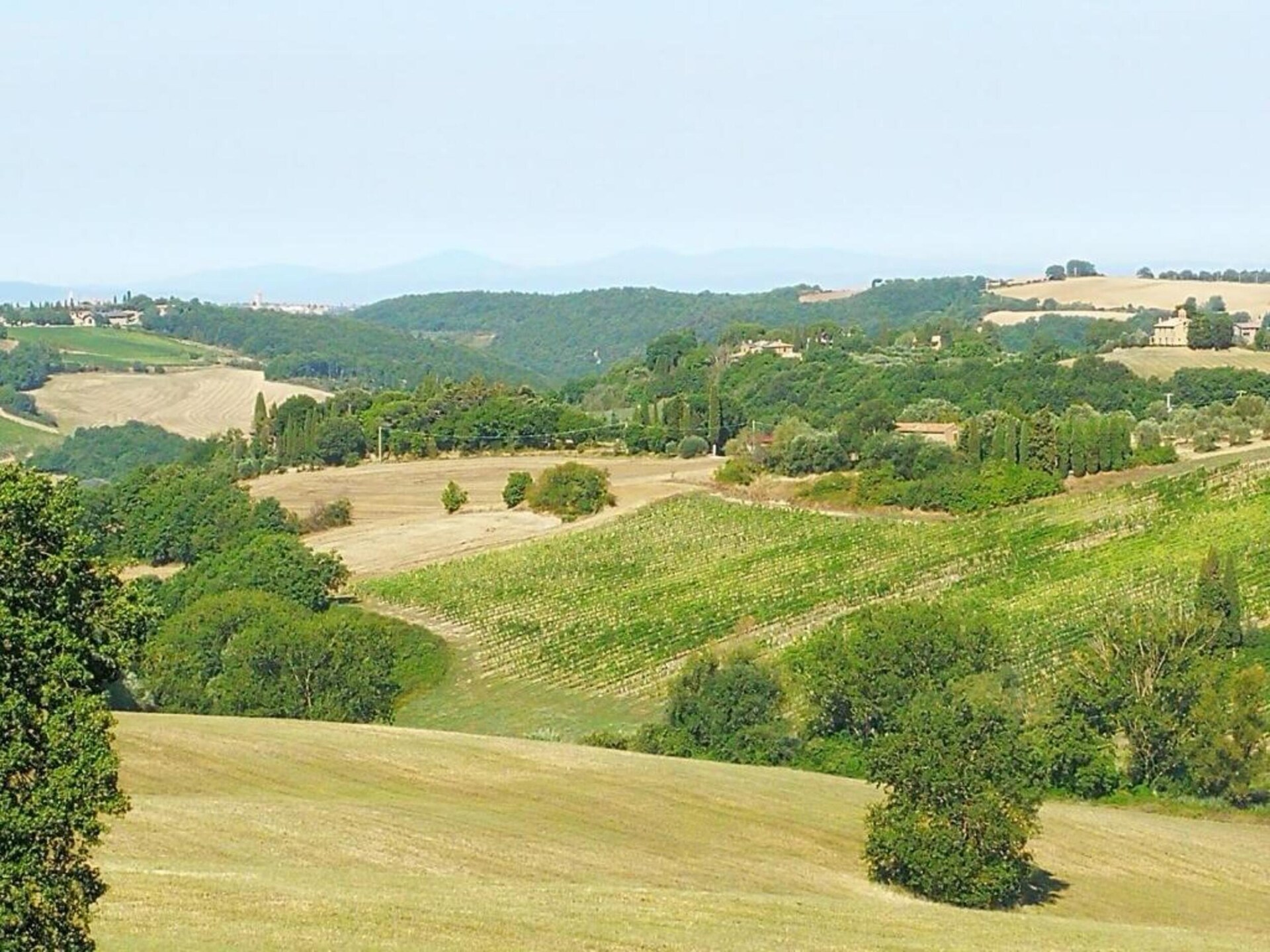 Authentieke Toscaanse boerderij met zwembad en uitzicht bij Montepulciano - foto 37