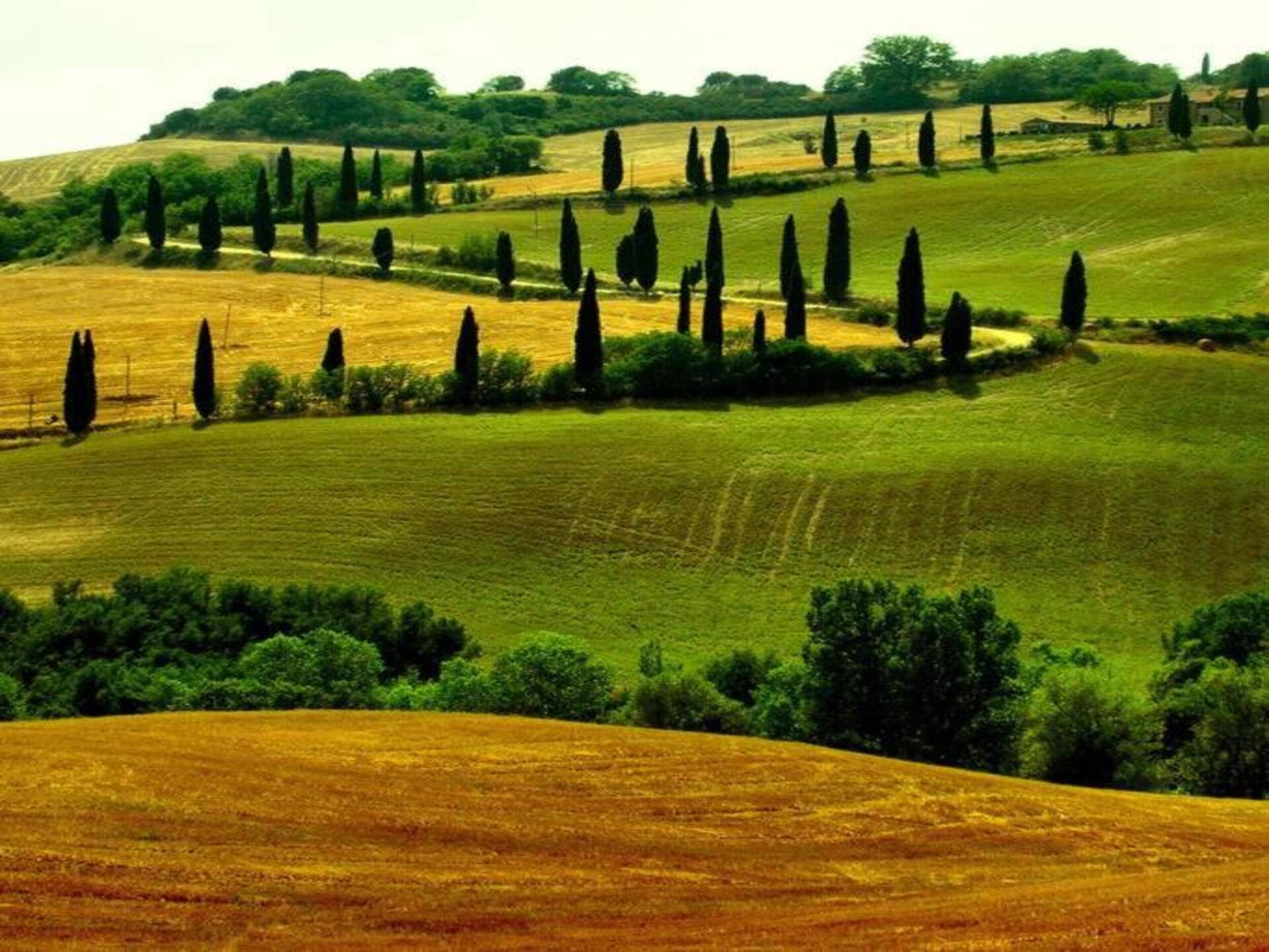 Authentieke Toscaanse boerderij met zwembad en uitzicht bij Montepulciano - foto 38