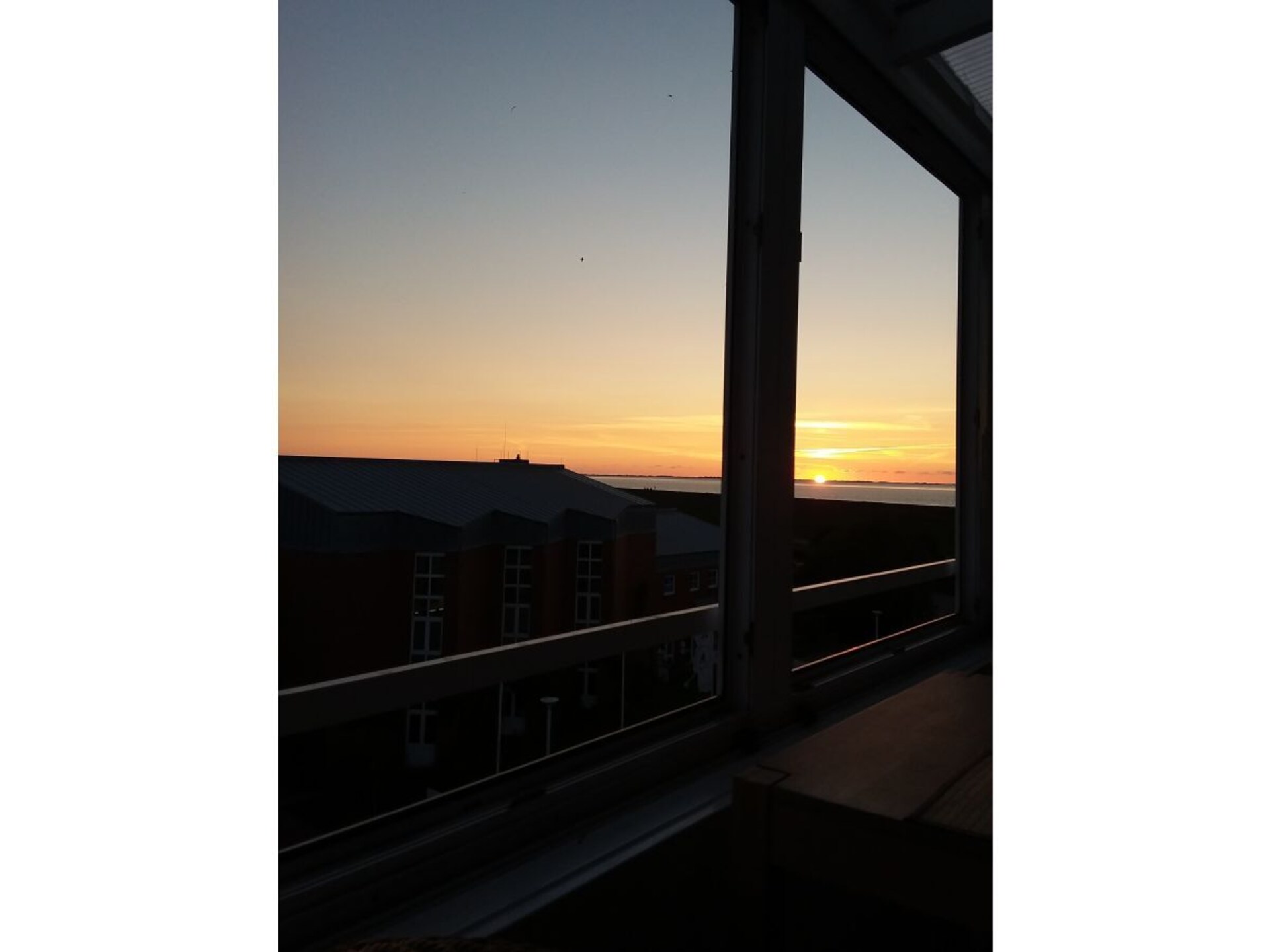 248907 - foto 12