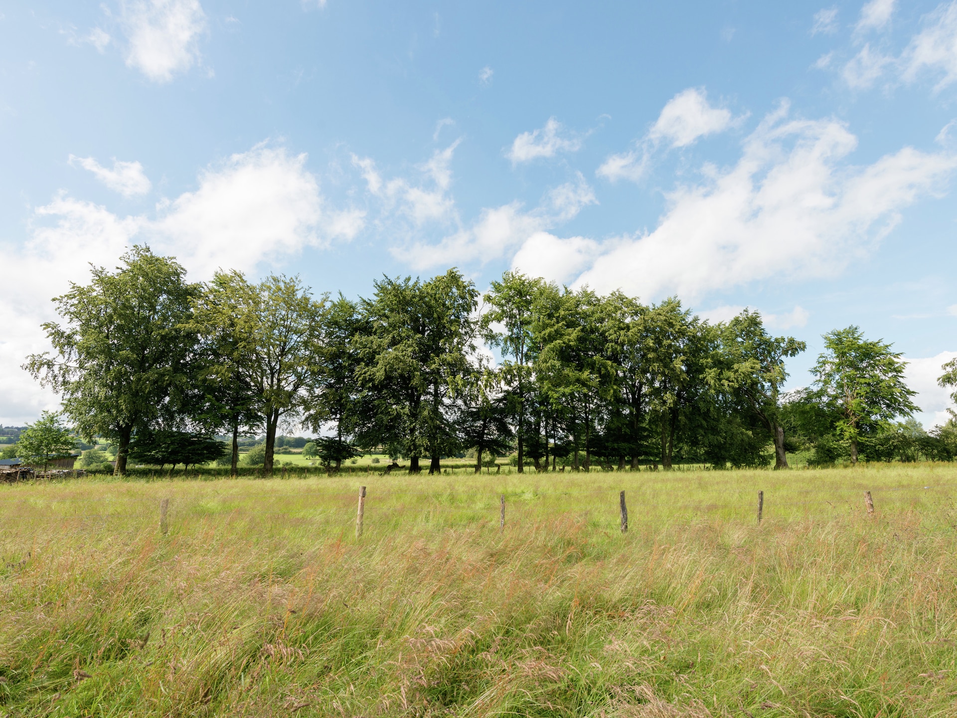Op 1,0 km van het meer: ruim 24-persoons vakantiehuis in Waimes - Robertville - foto 36