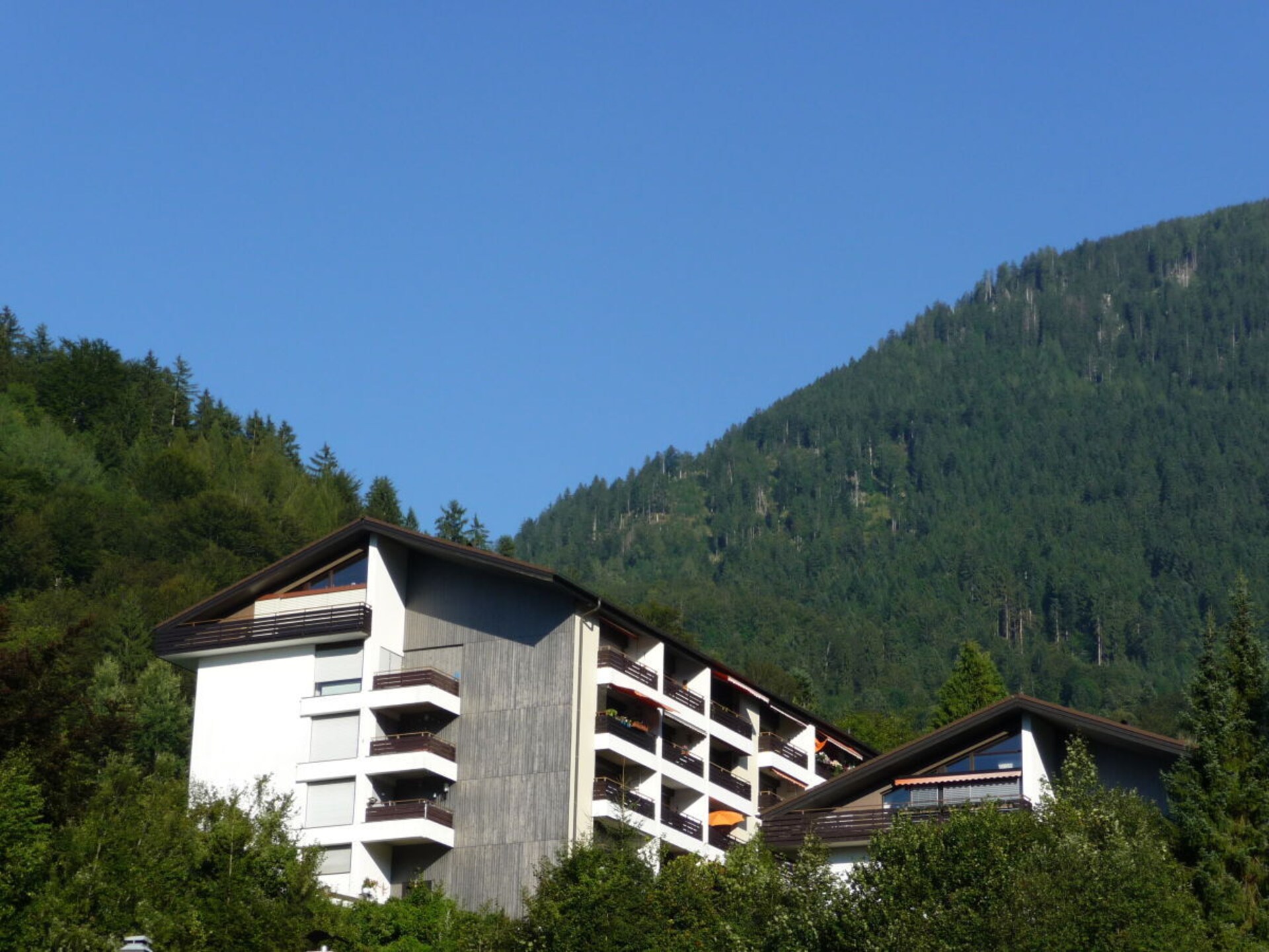 217042 - foto 2
