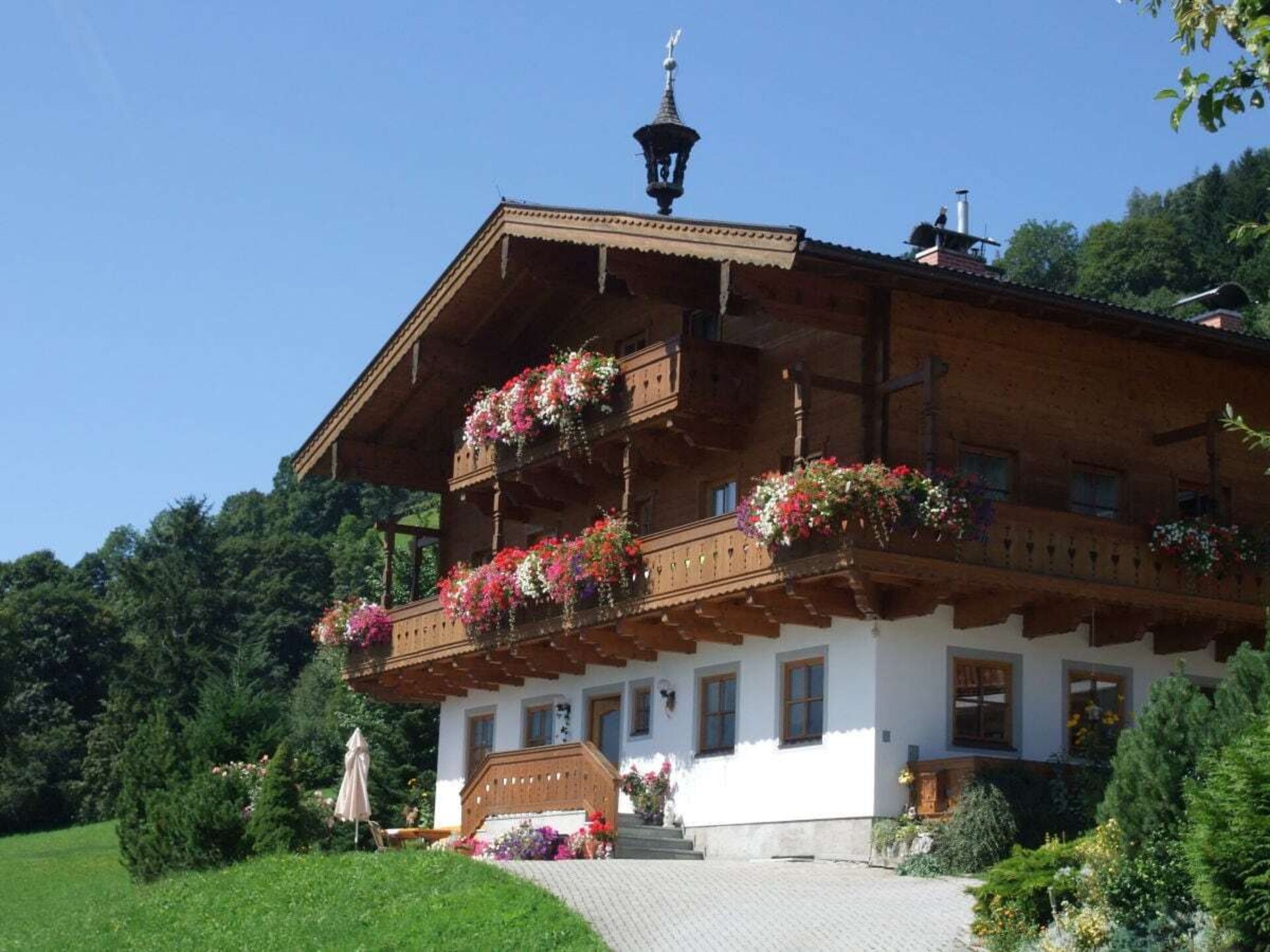 55951 - foto 1
