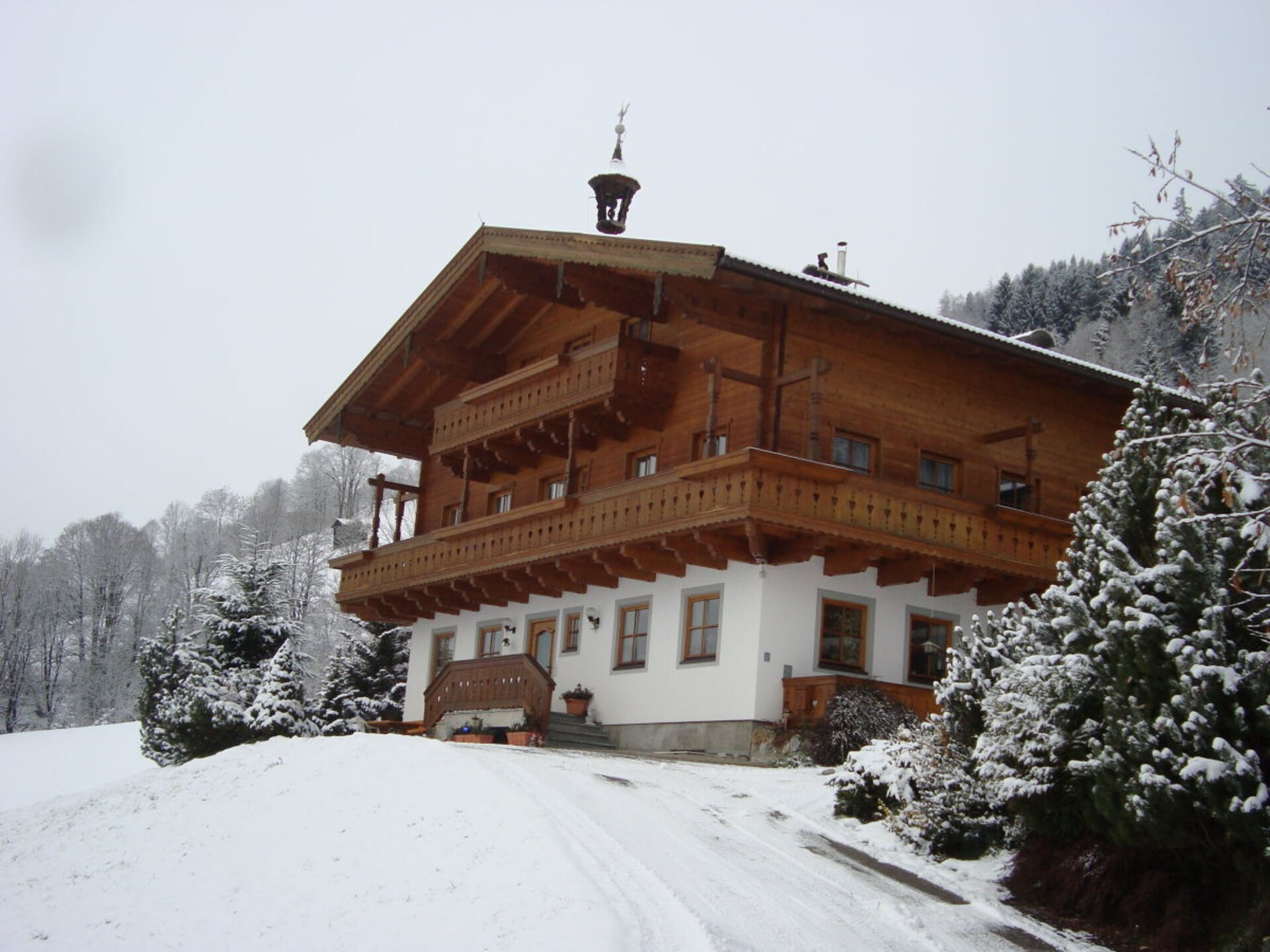 55951 - foto 2