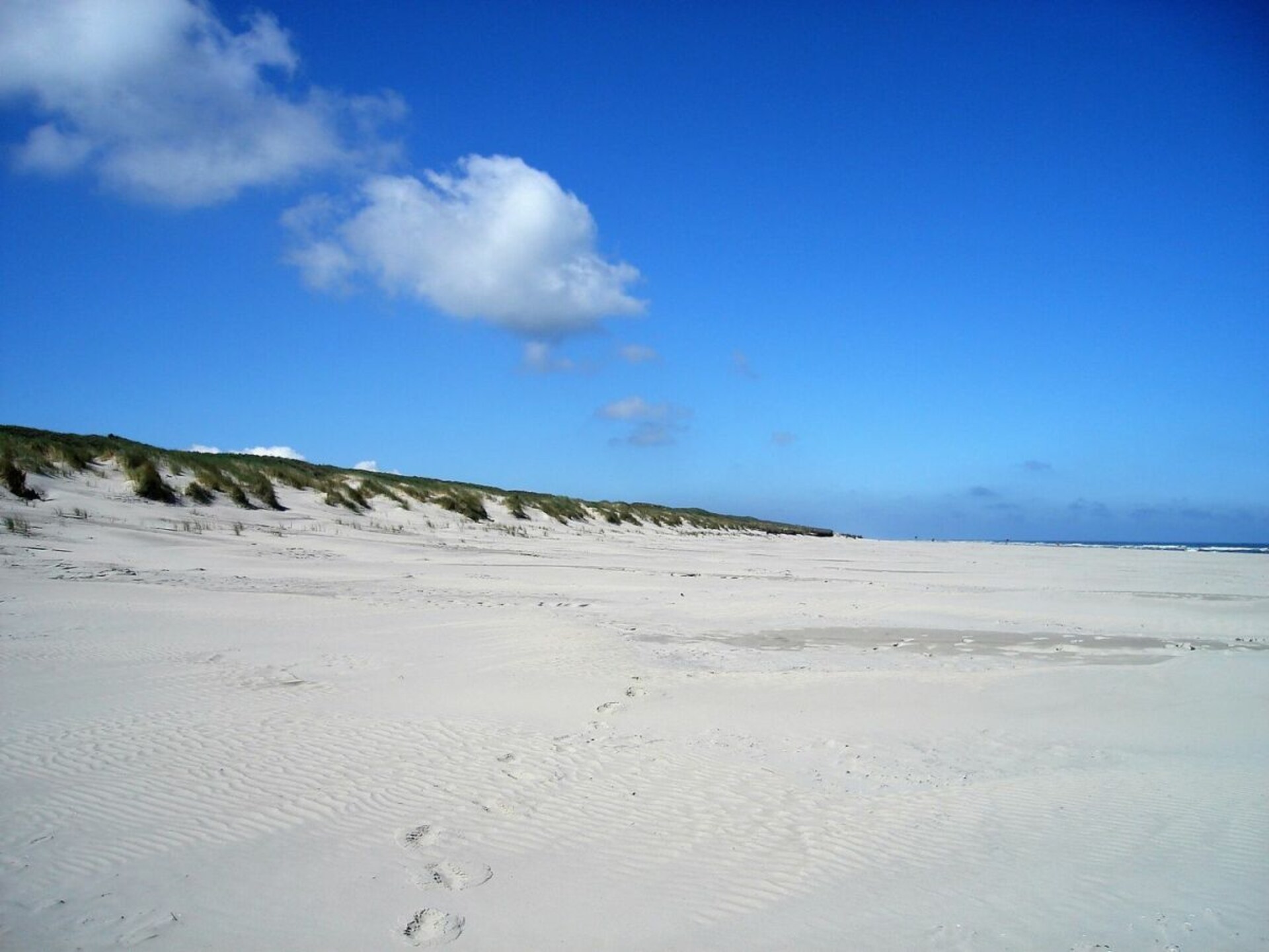 276842 - foto 6