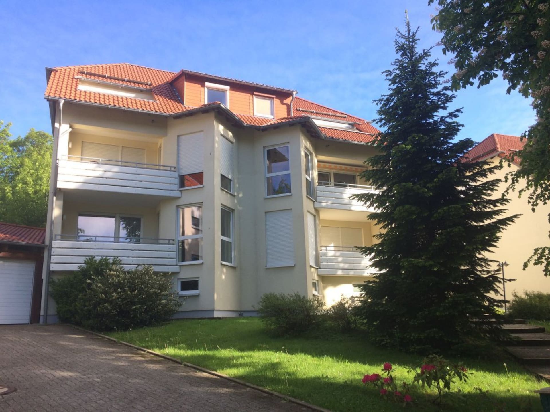 256135 - foto 4