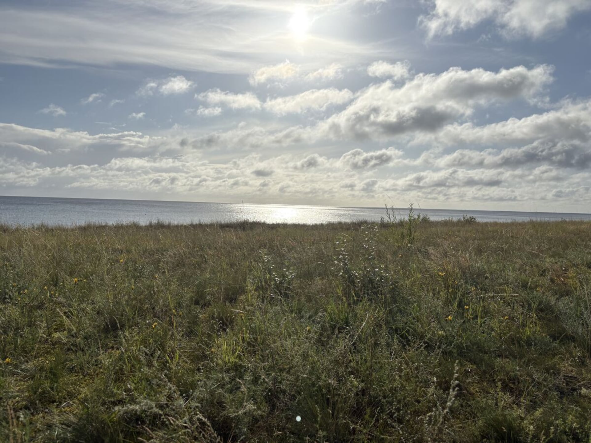 754954 - foto 32