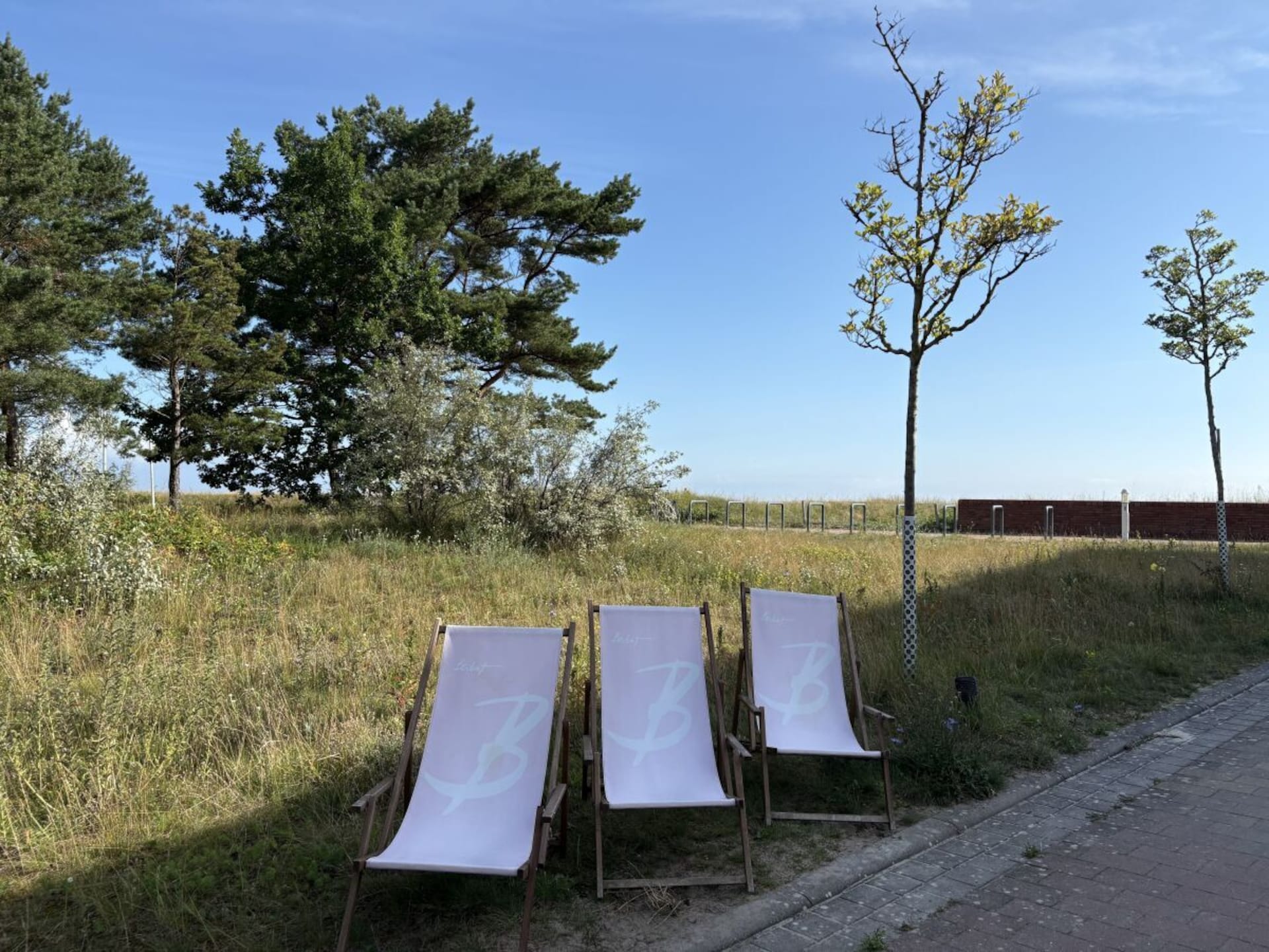 754954 - foto 39