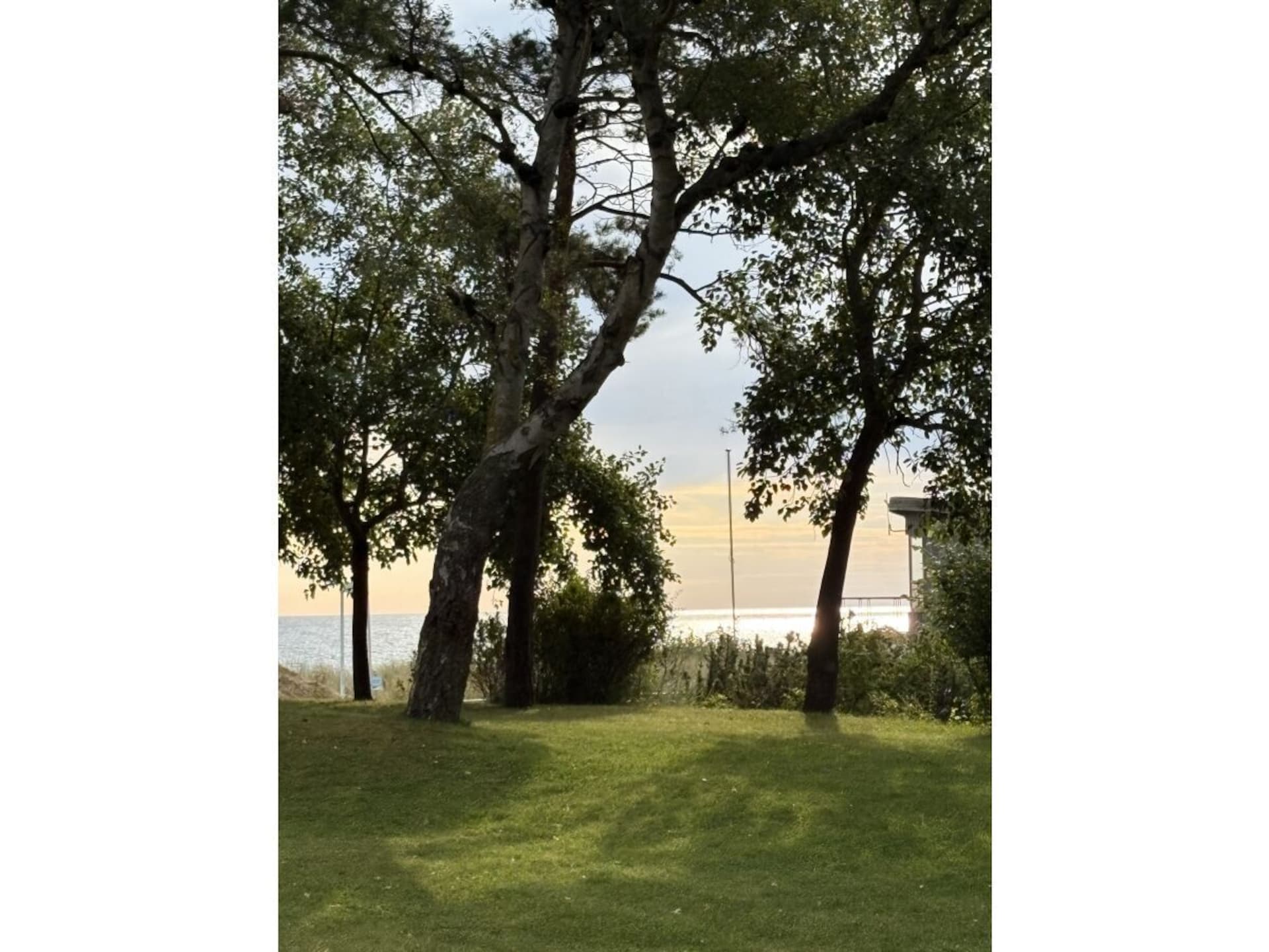 754954 - foto 41
