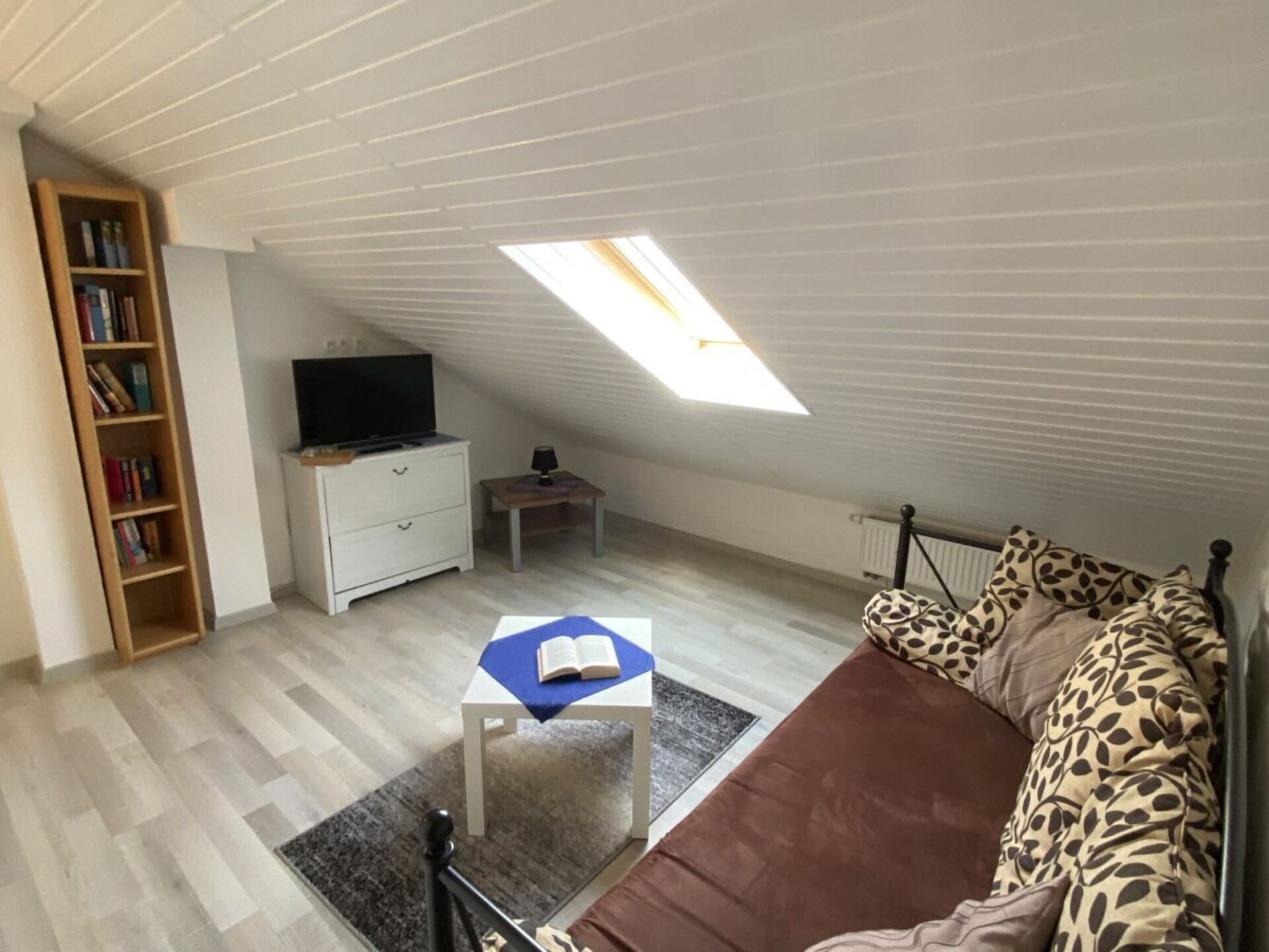 46483 - foto 13