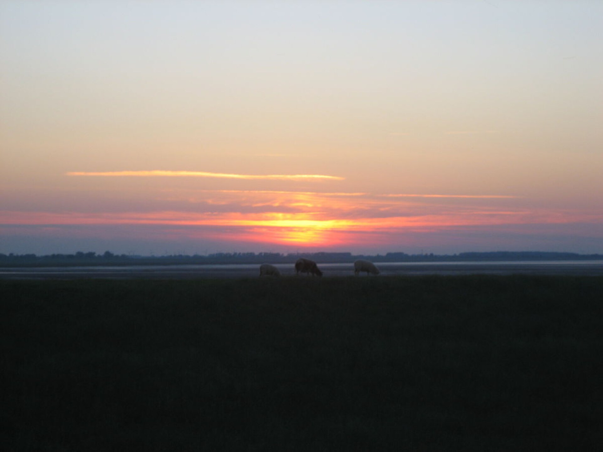 177335 - foto 17