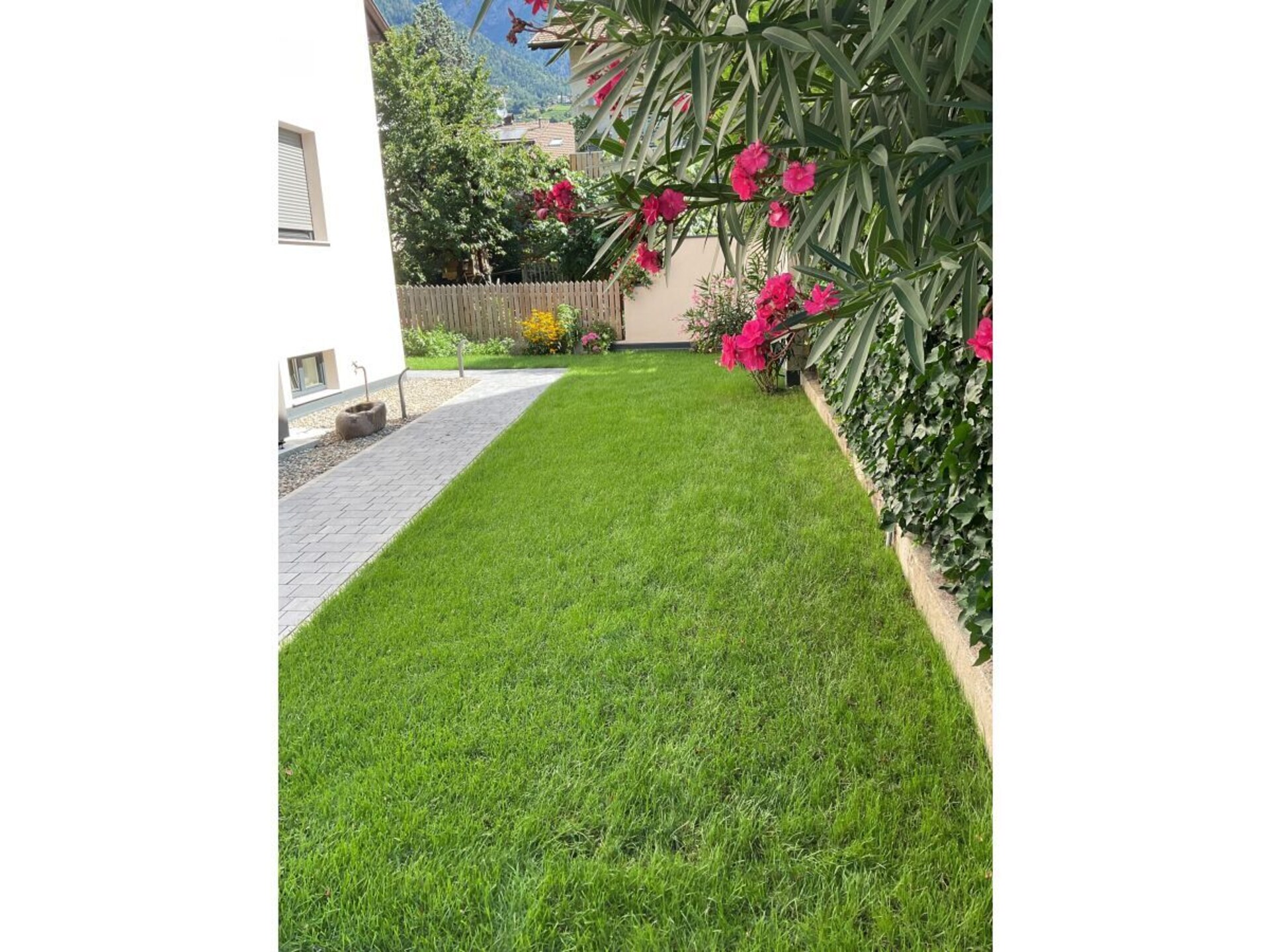 529128 - foto 3