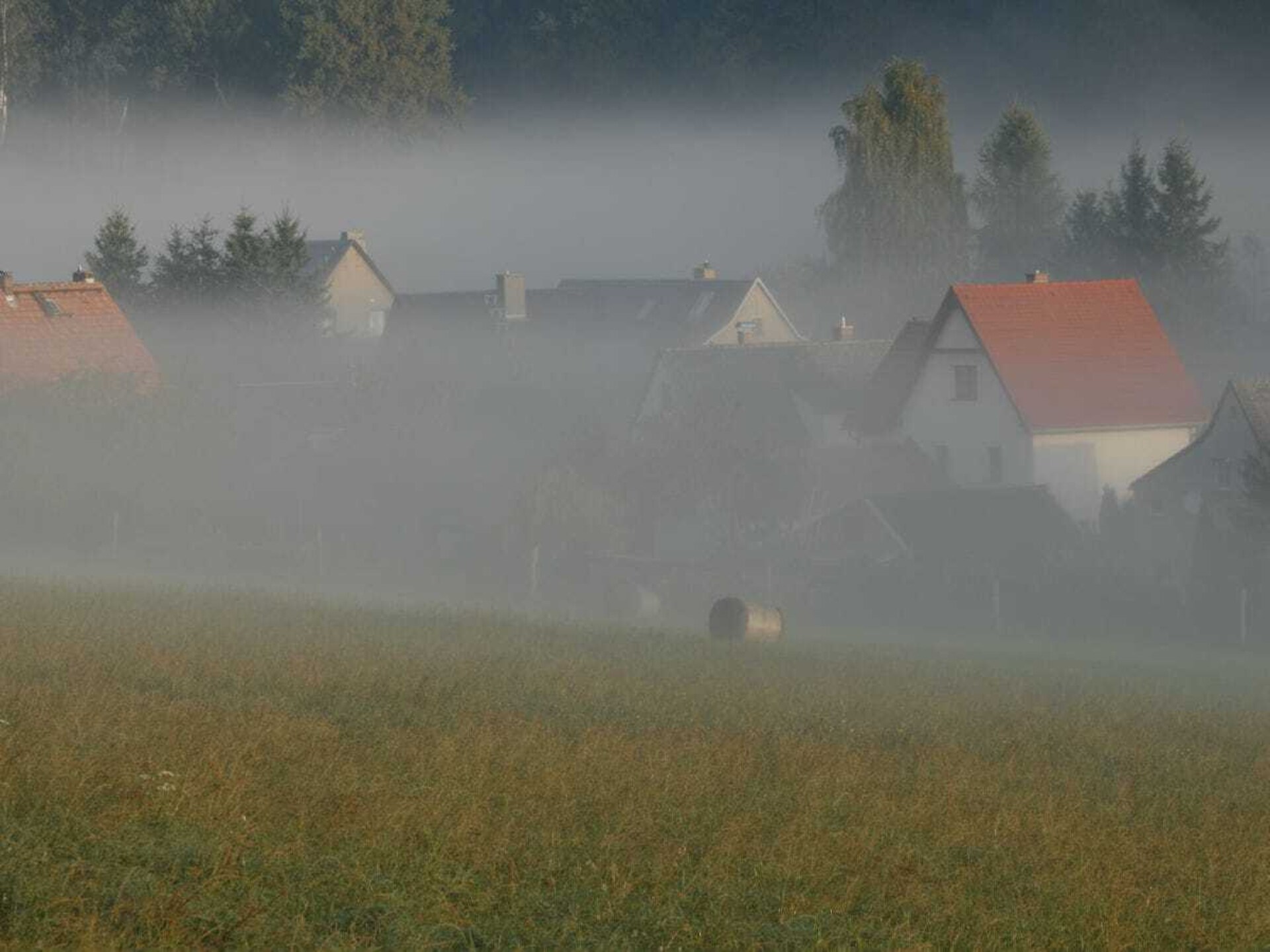 51744 - foto 18