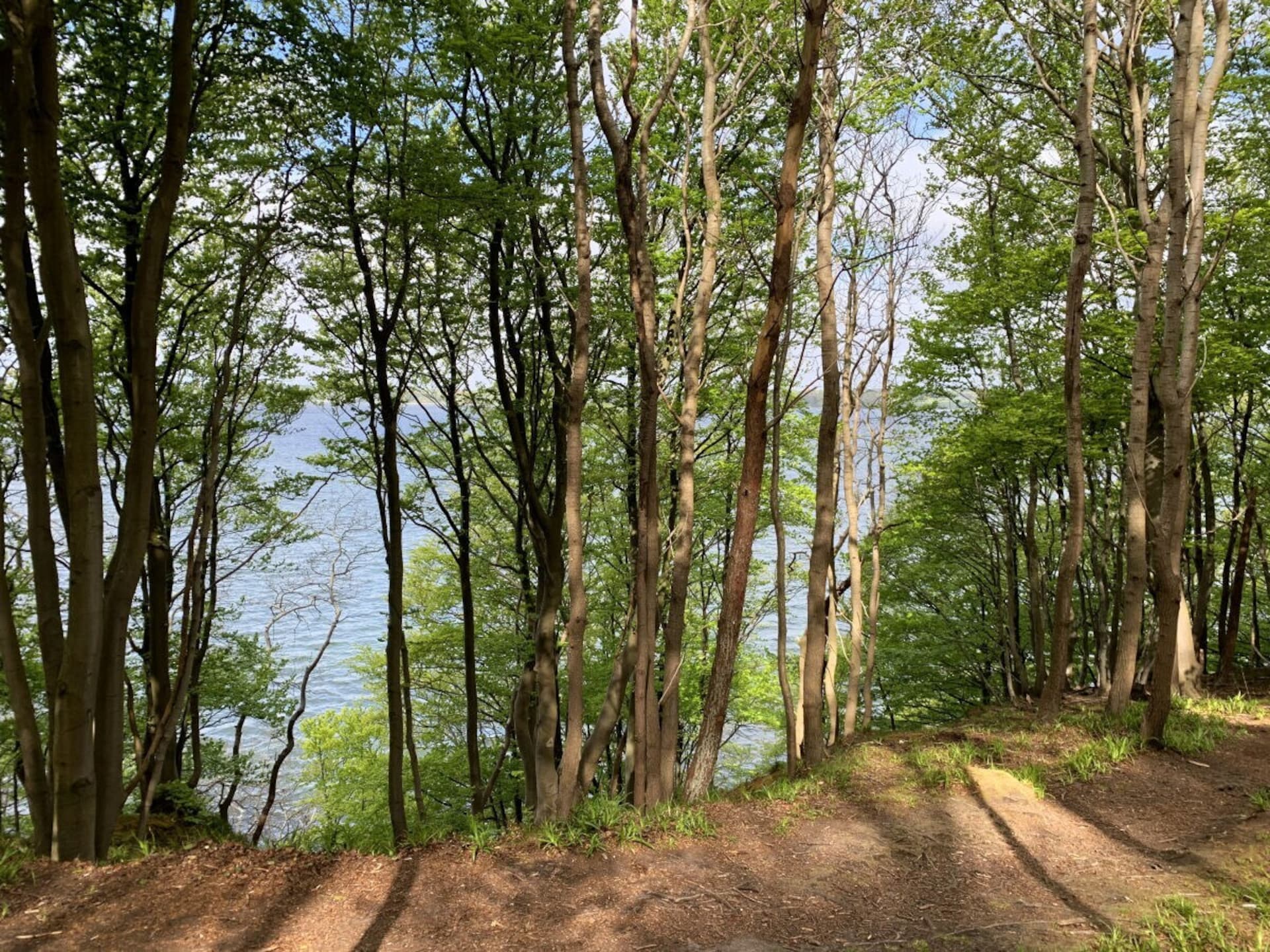 117322 - foto 25