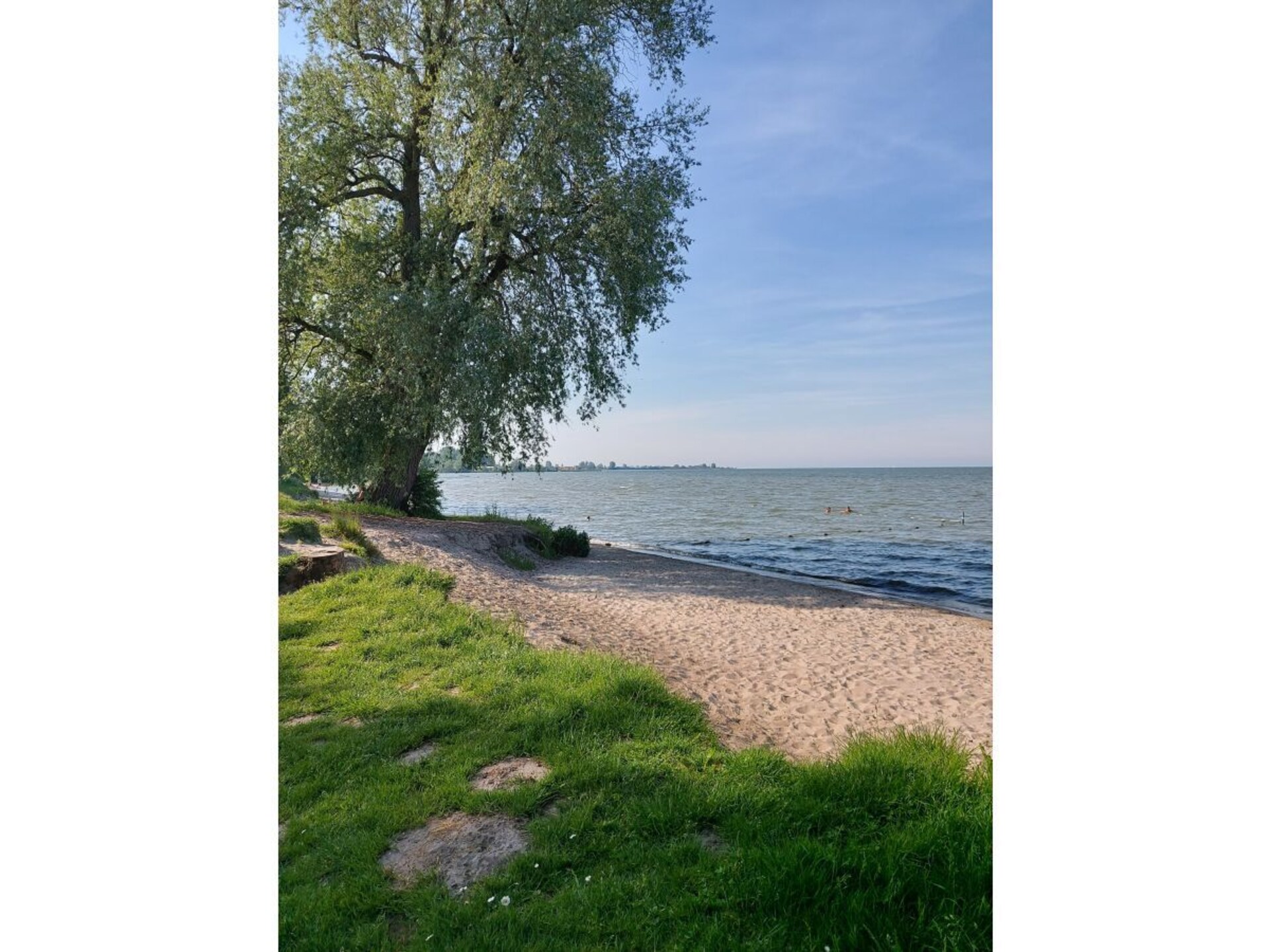 411194 - foto 15