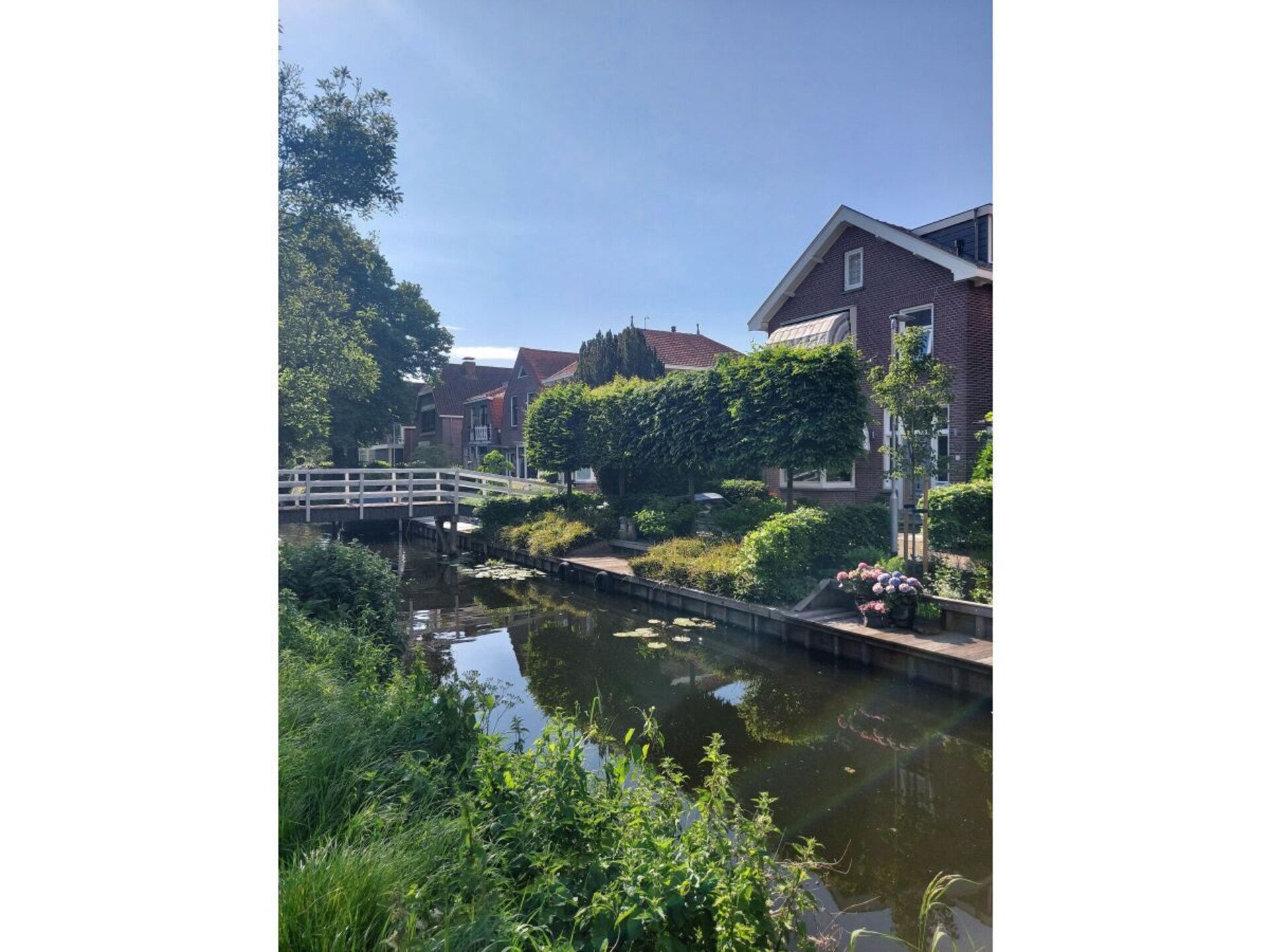 411194 - foto 17