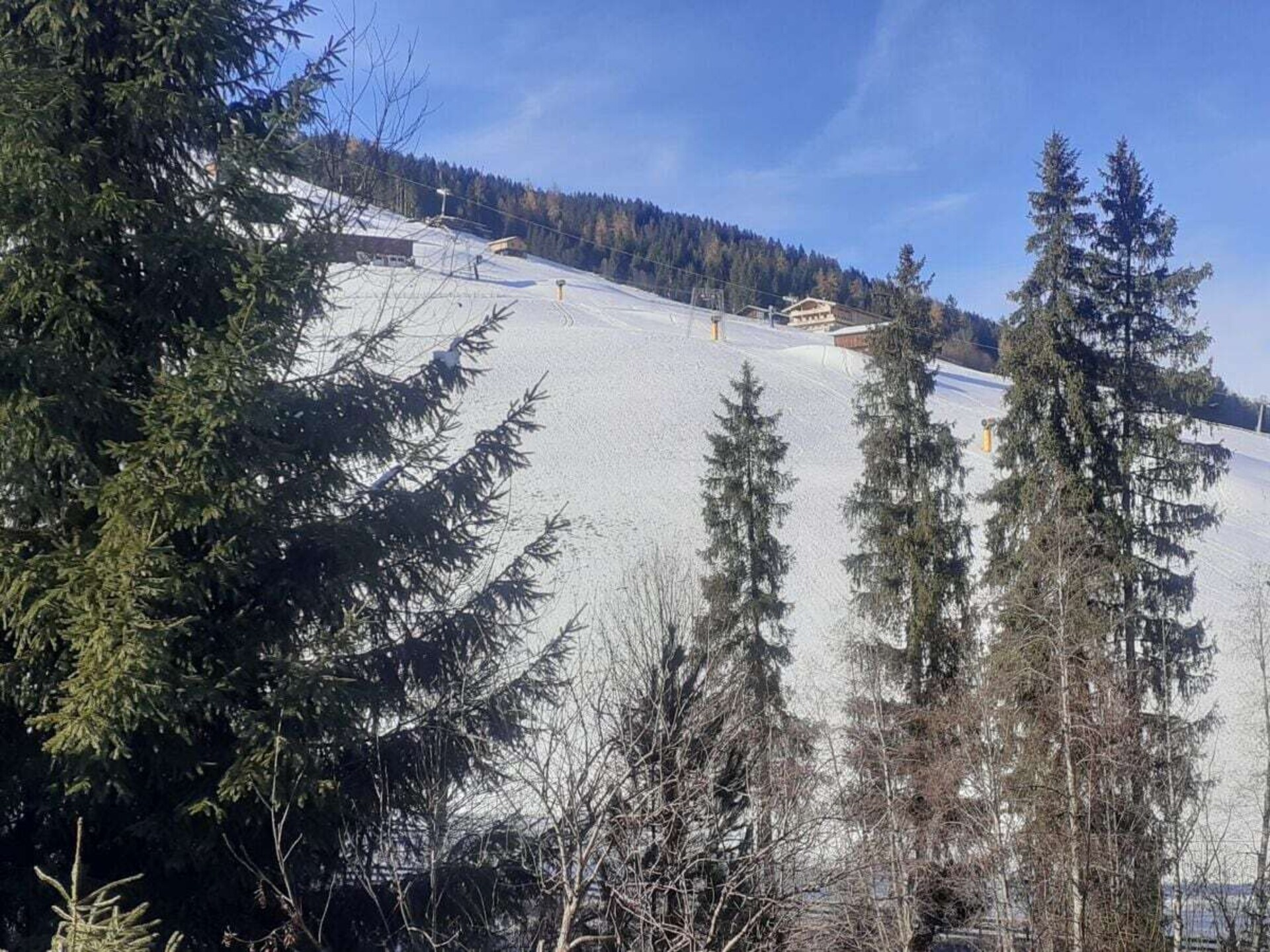 756642 - foto 17