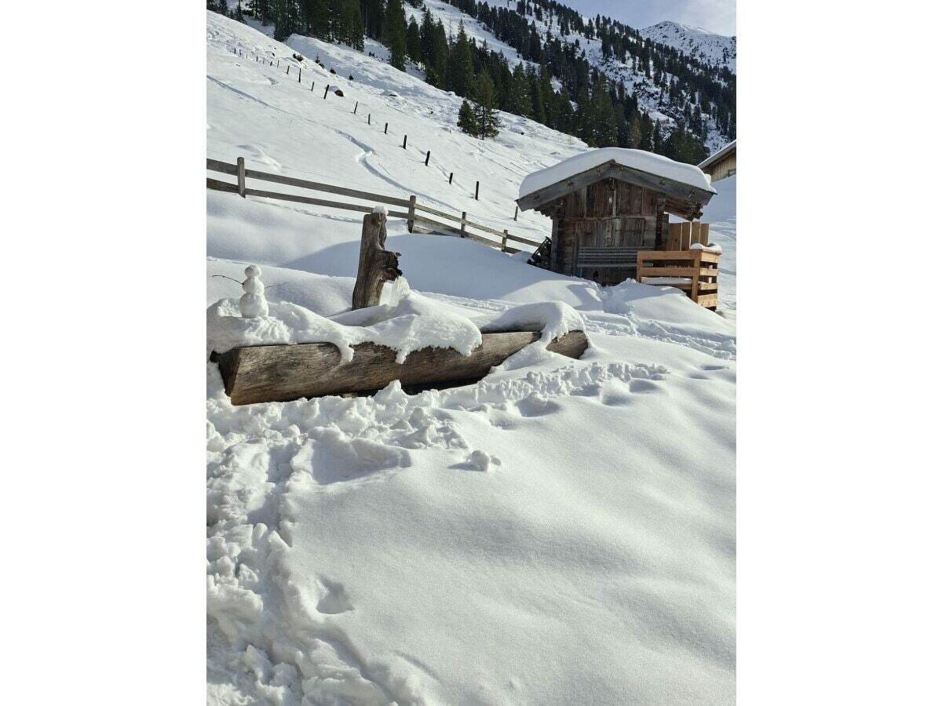 756642 - foto 31