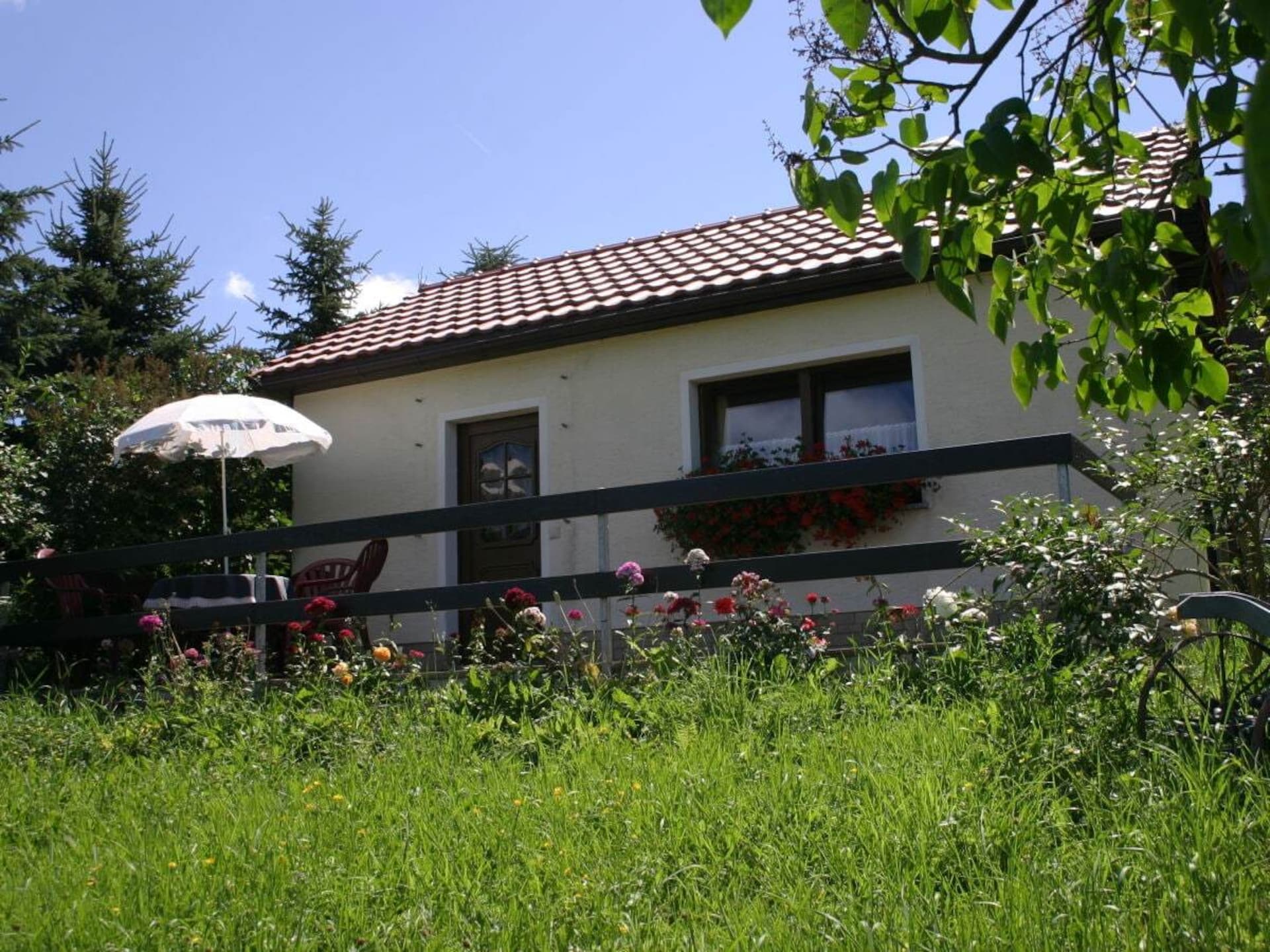 53146 - foto 3