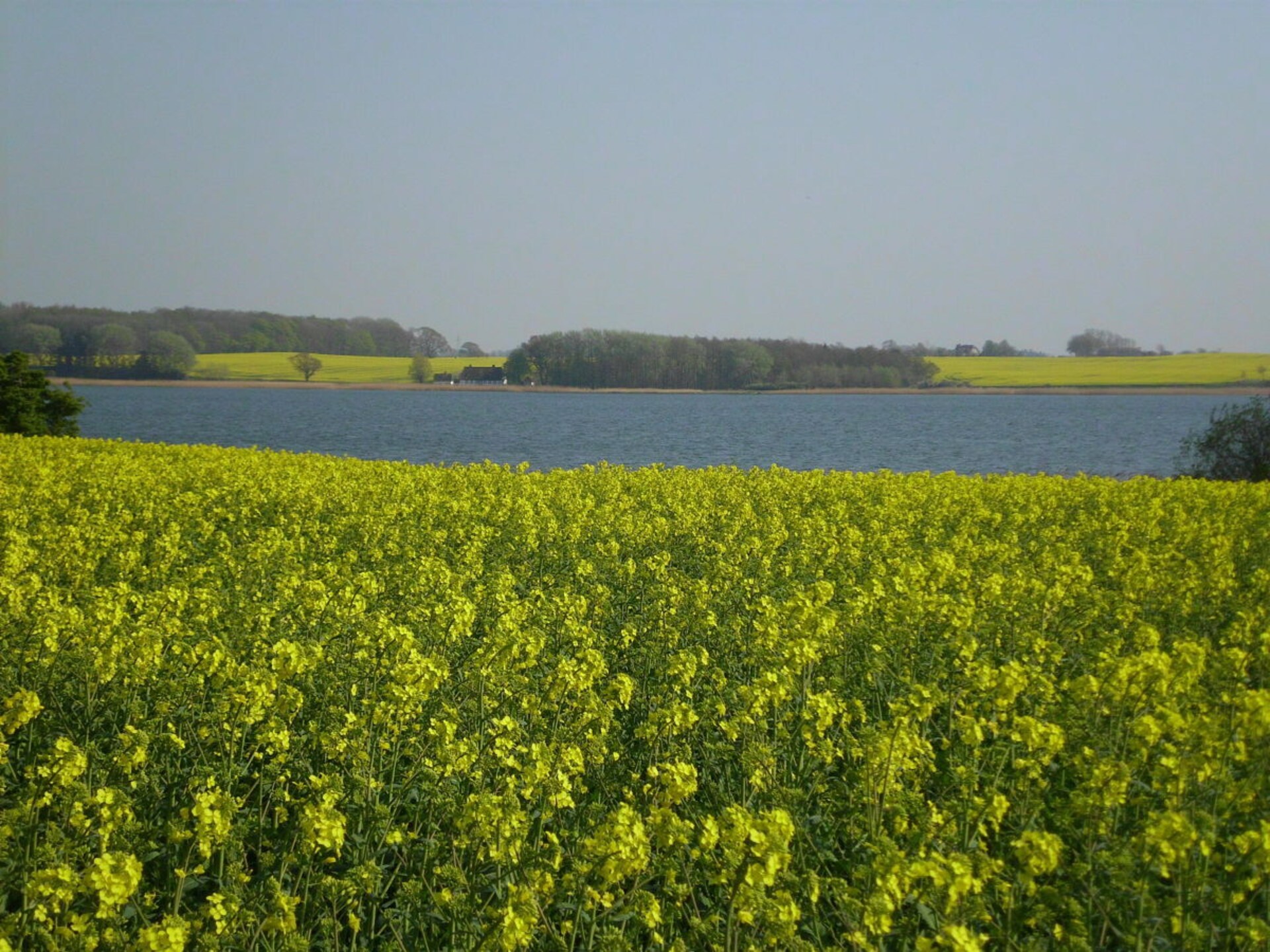 99711 - foto 16