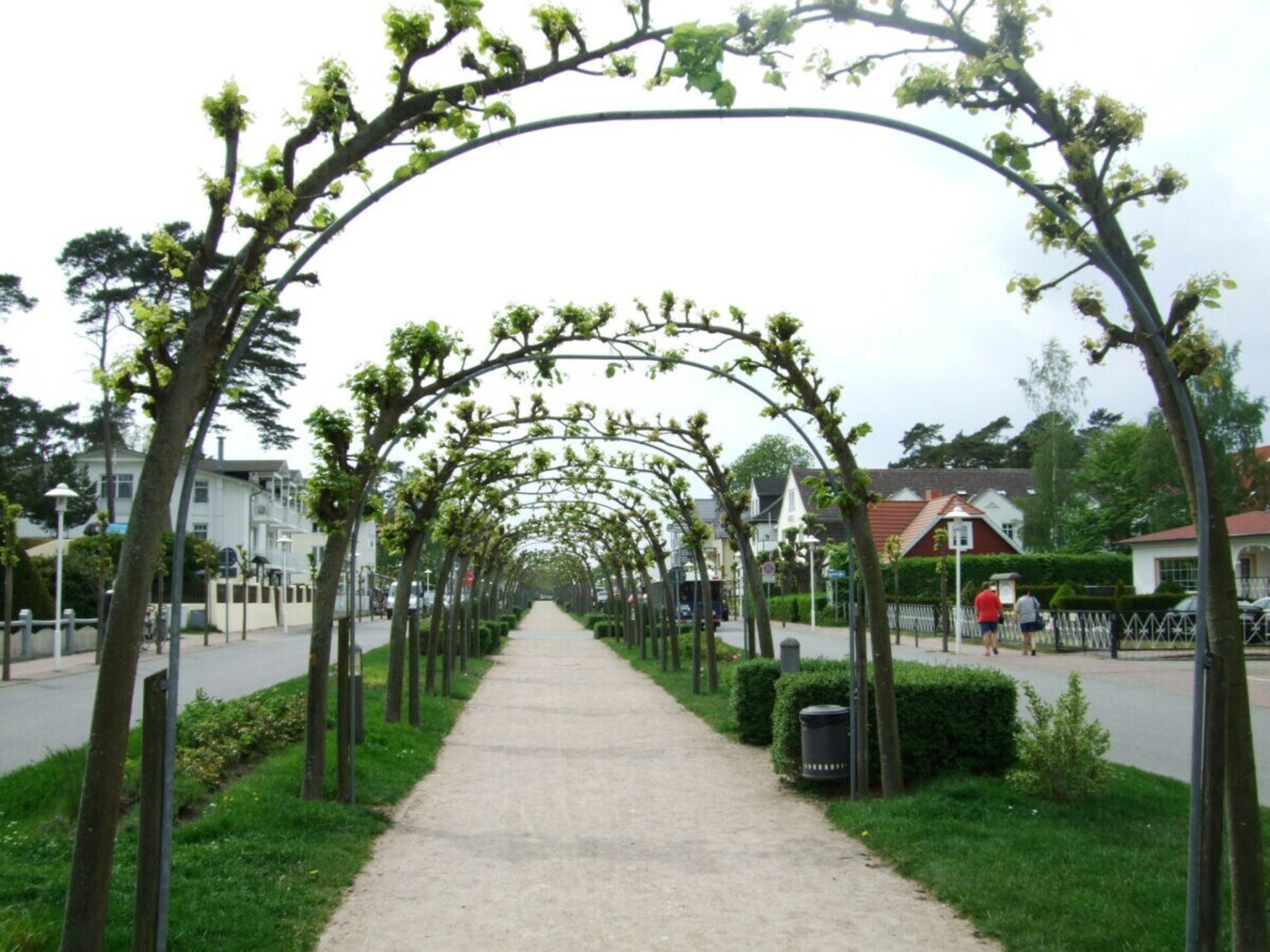 179058 - foto 25