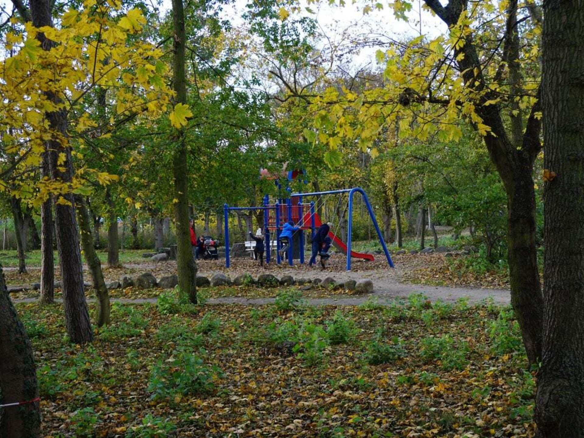 165612 - foto 17