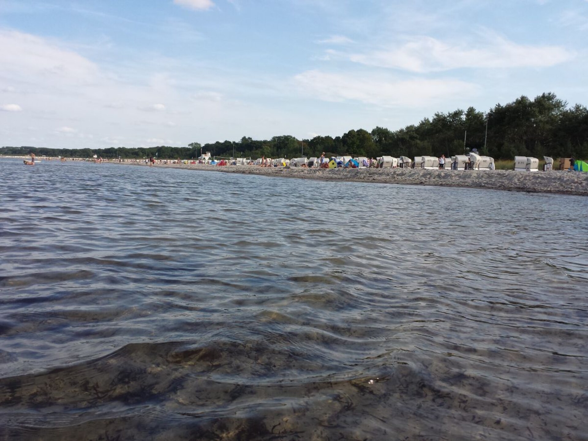 165612 - foto 20