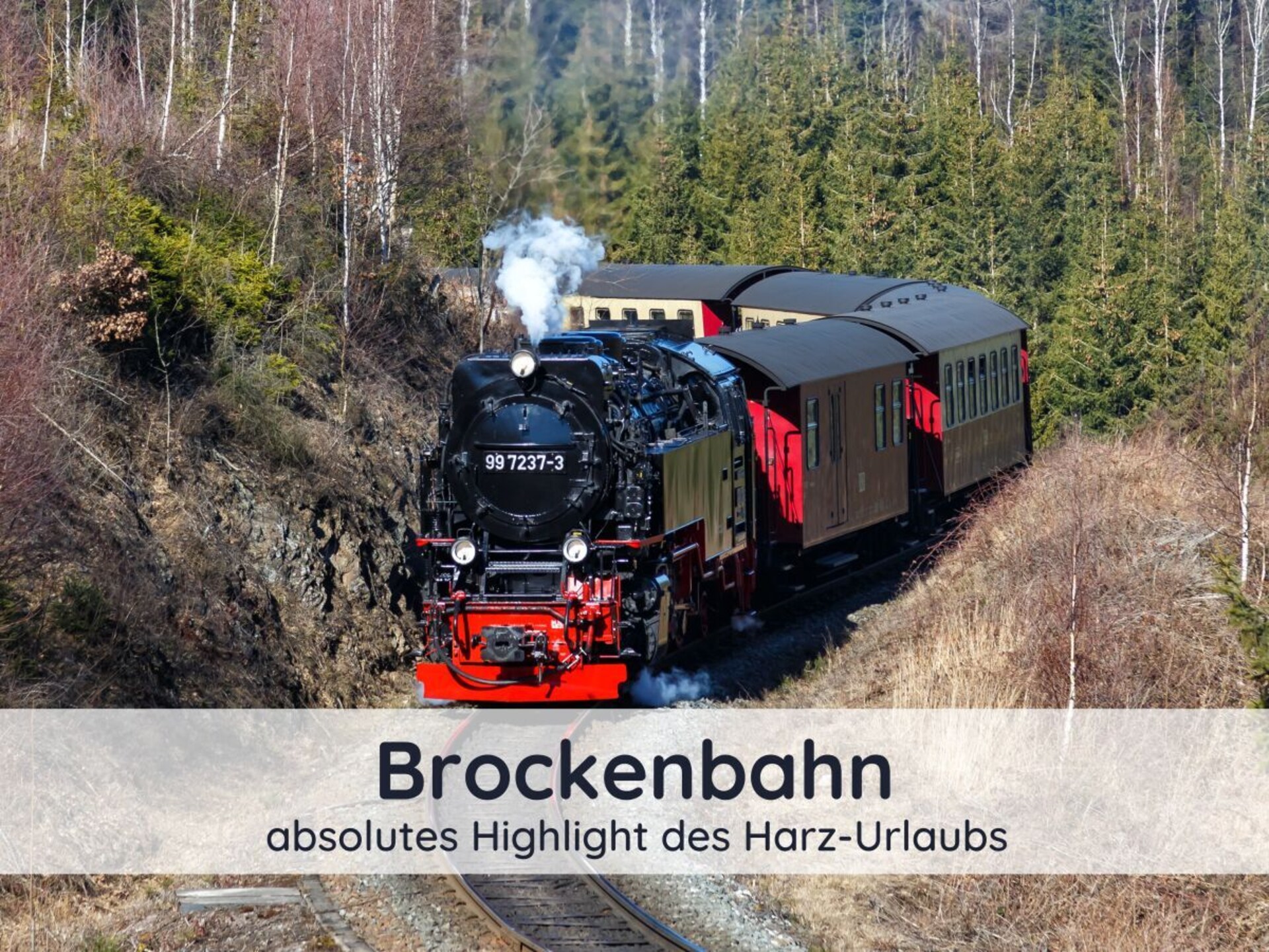 756892 - foto 24
