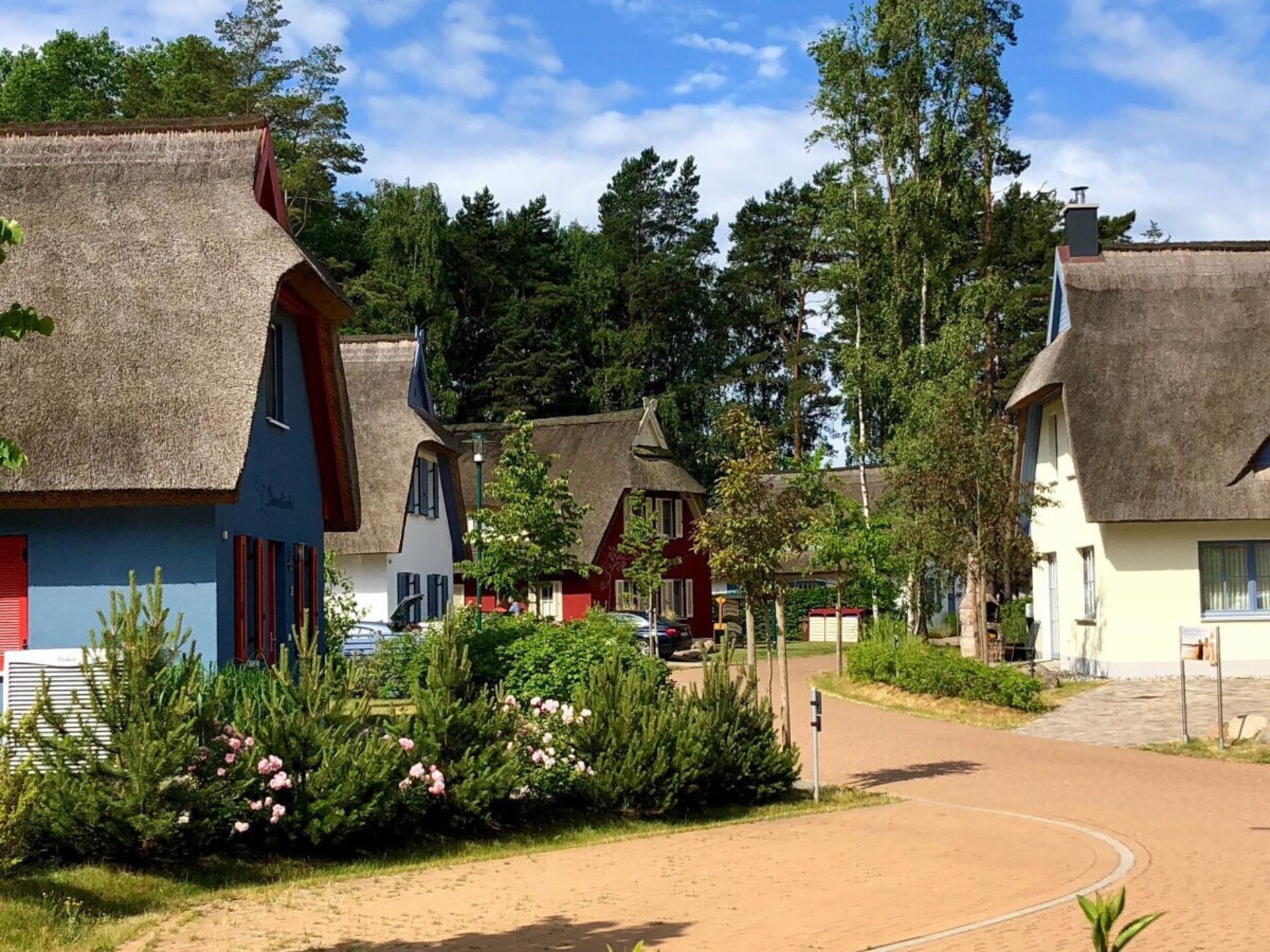 183543 - foto 3