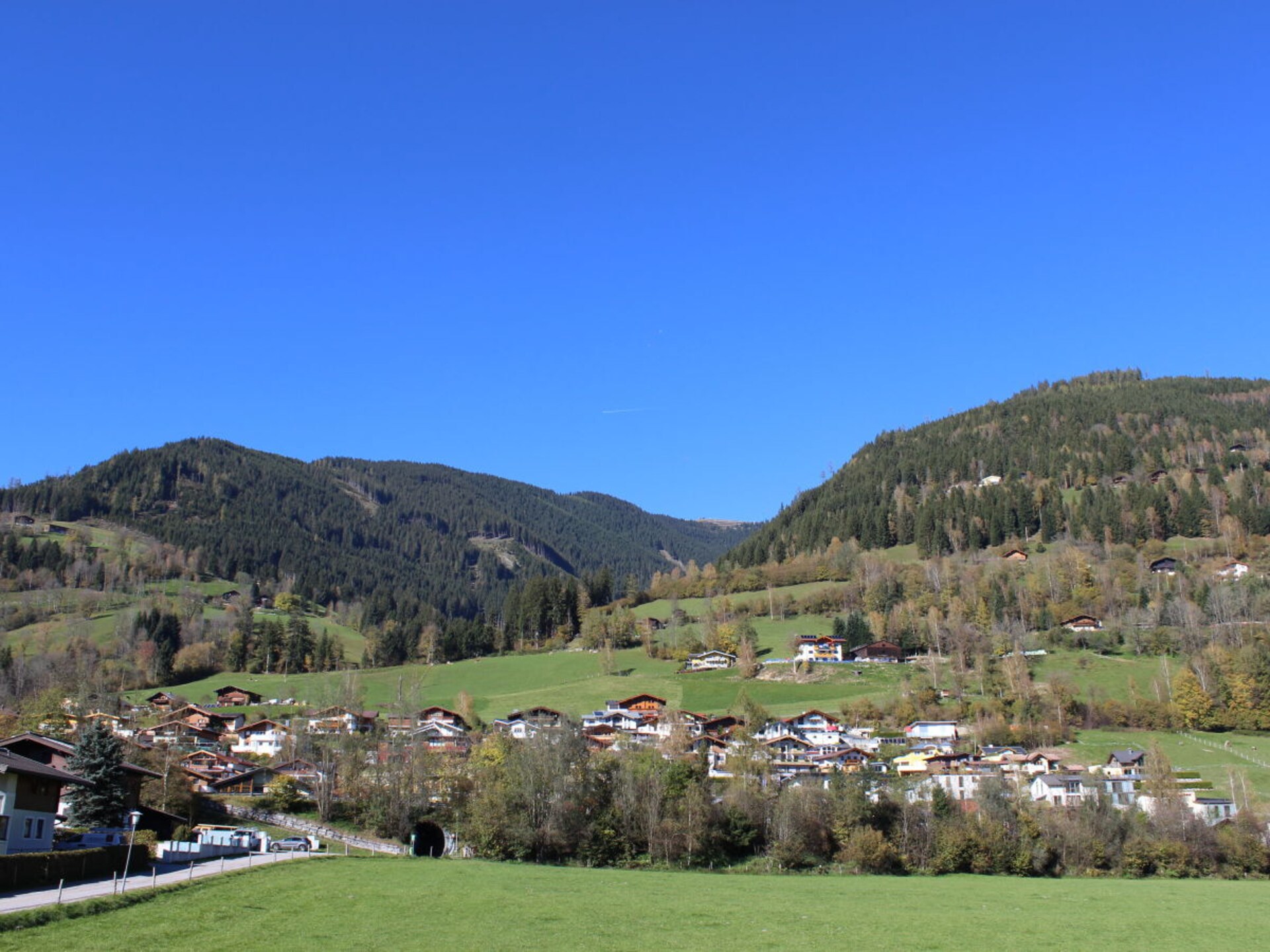 240086 - foto 11