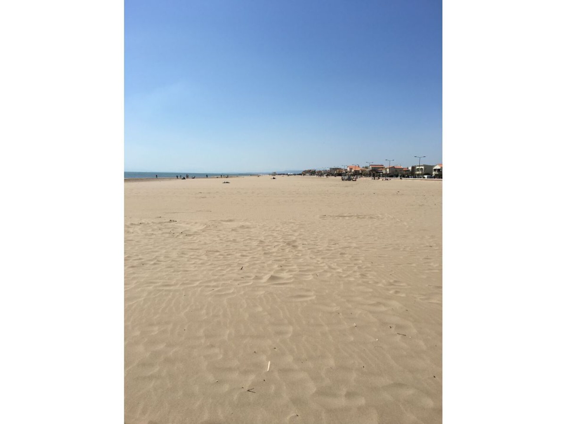 219307 - foto 14