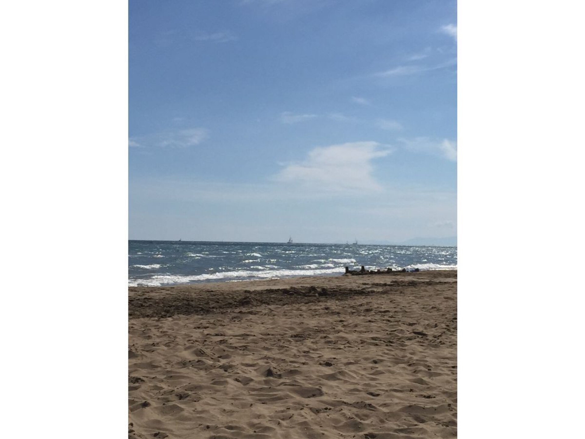 219307 - foto 15