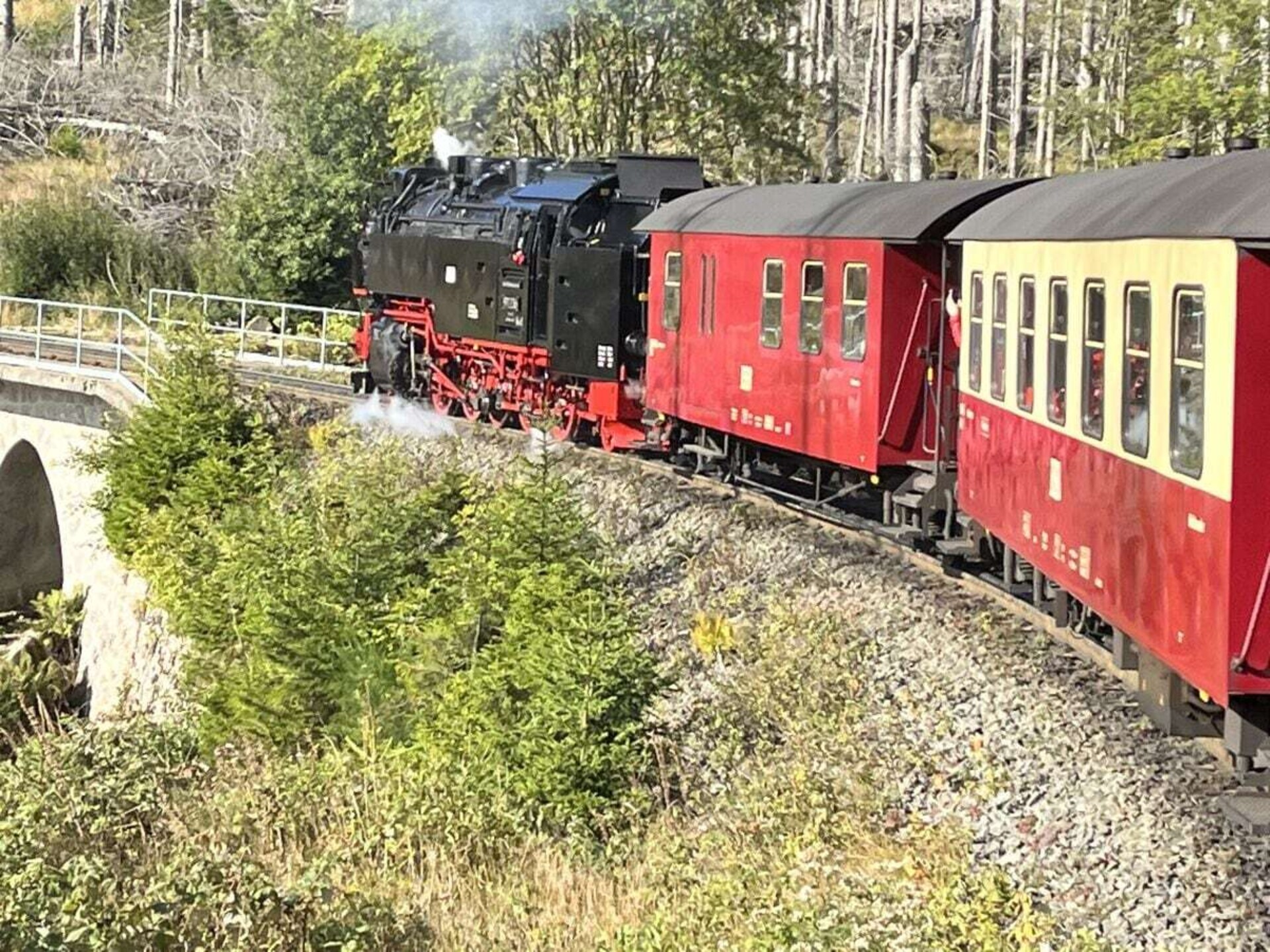 480843 - foto 7