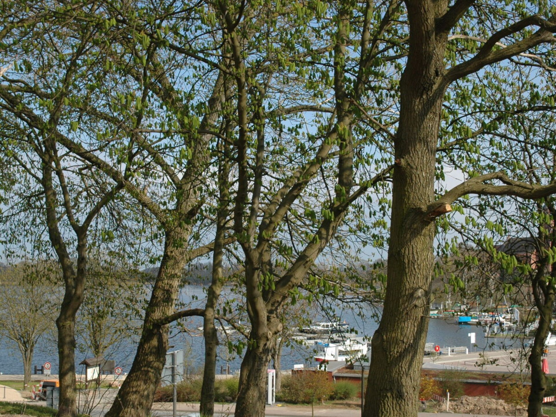 53905 - foto 20