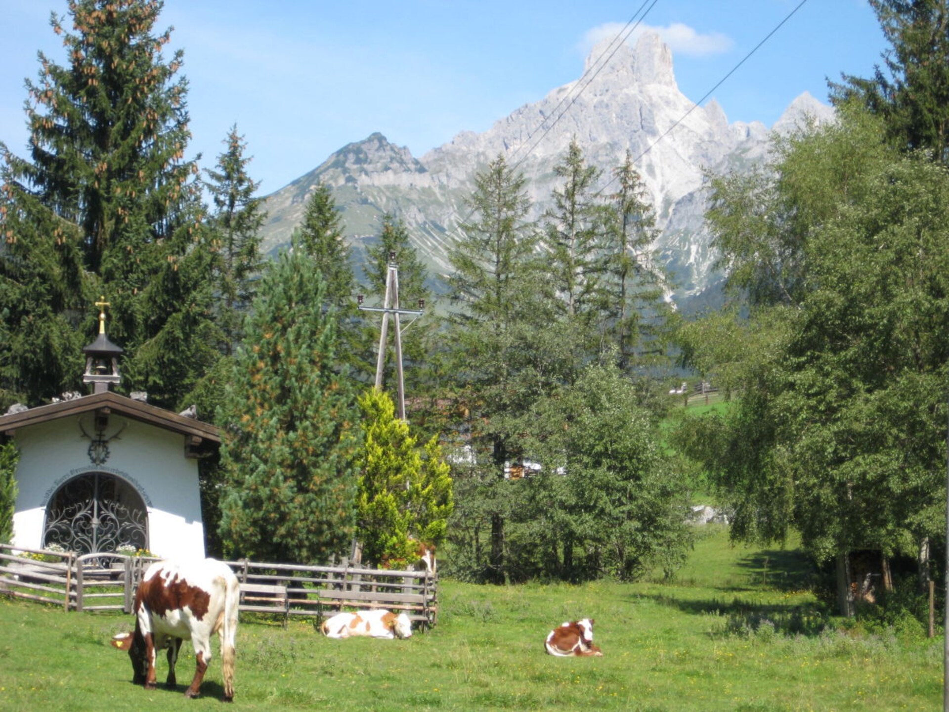 31014 - foto 26